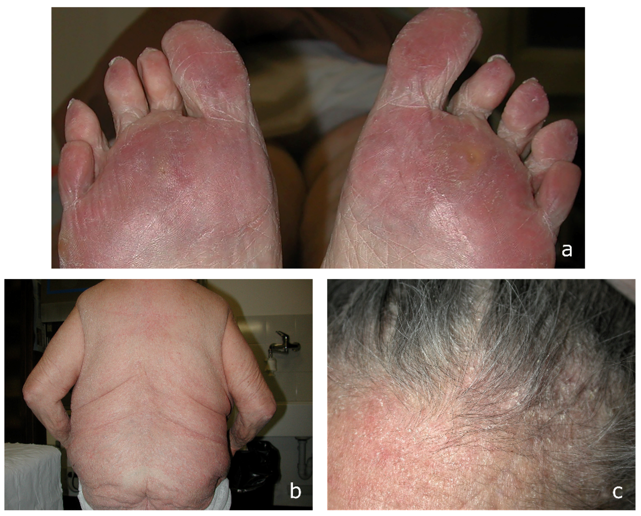 Microorganisms 13 00895 g003