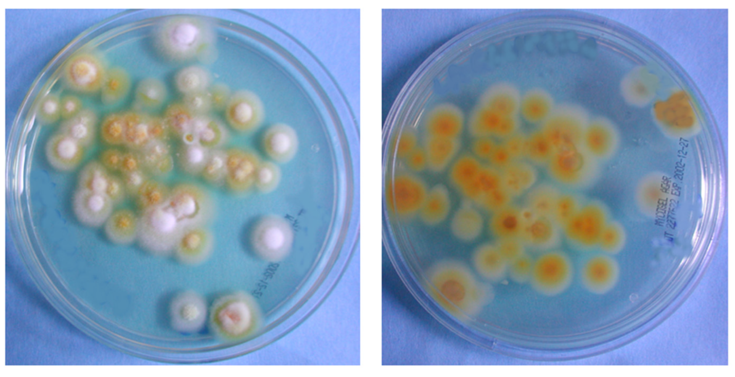 Microorganisms 13 00895 g007