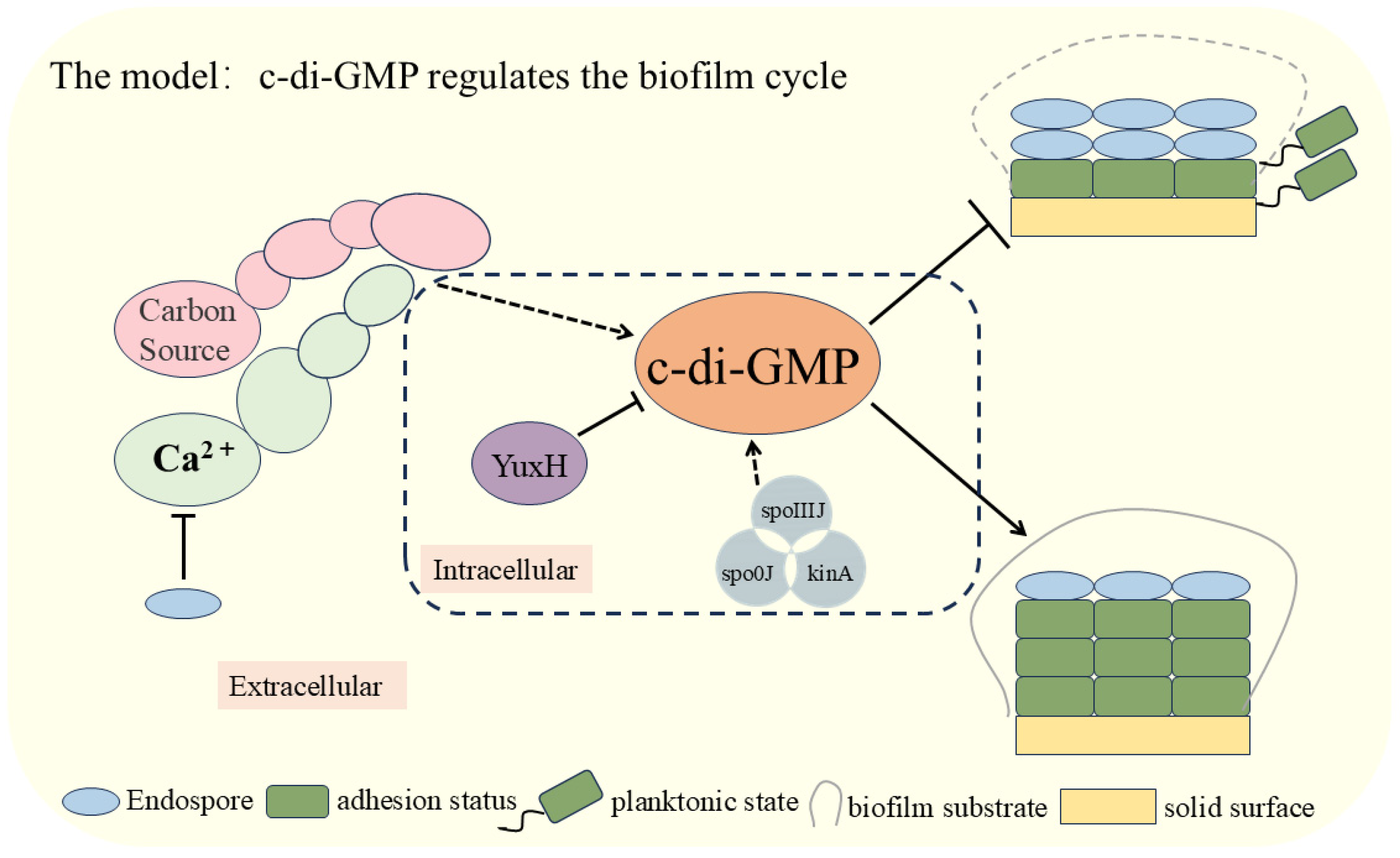 Microorganisms 13 00896 g005