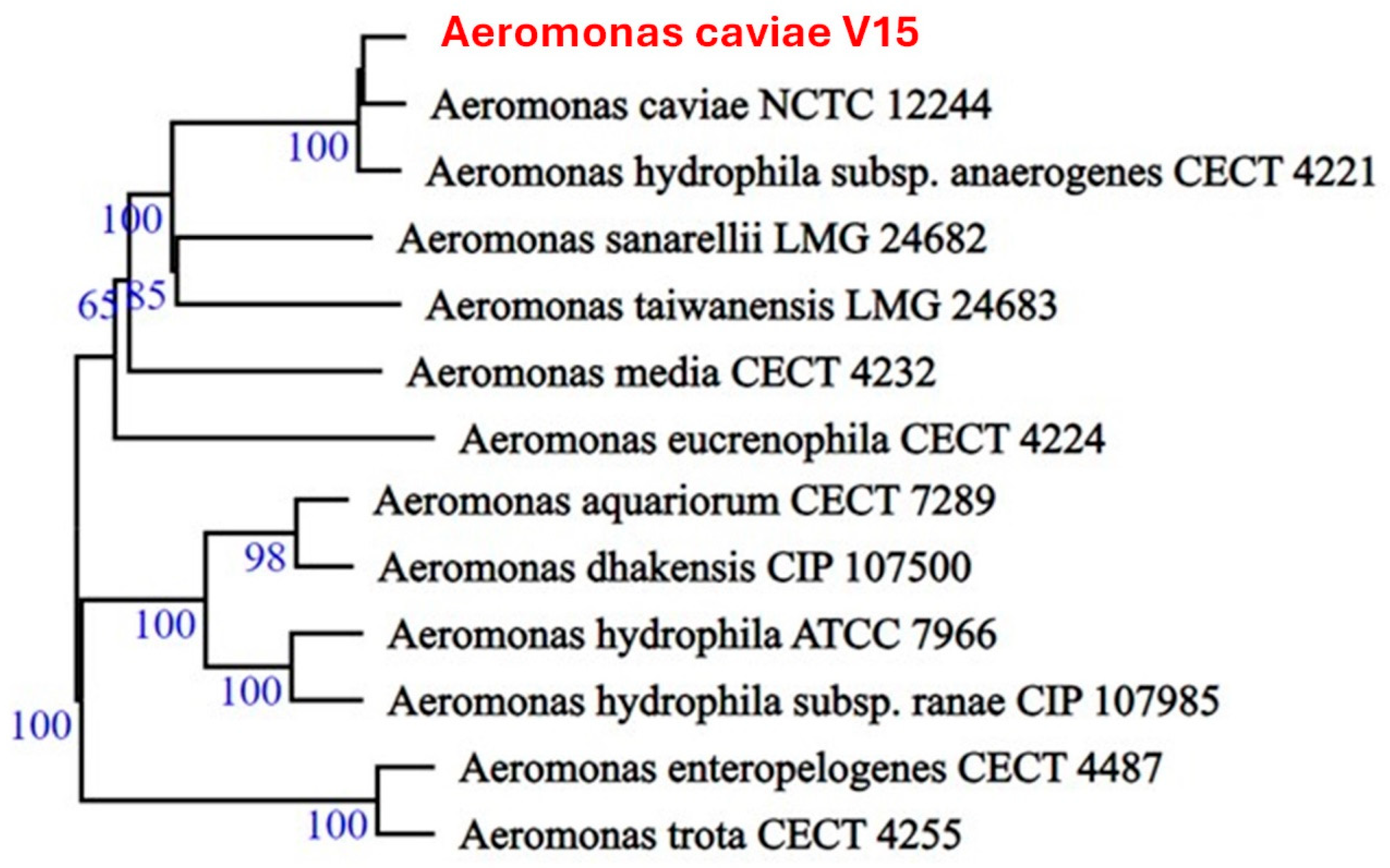 Microorganisms 13 00897 g001