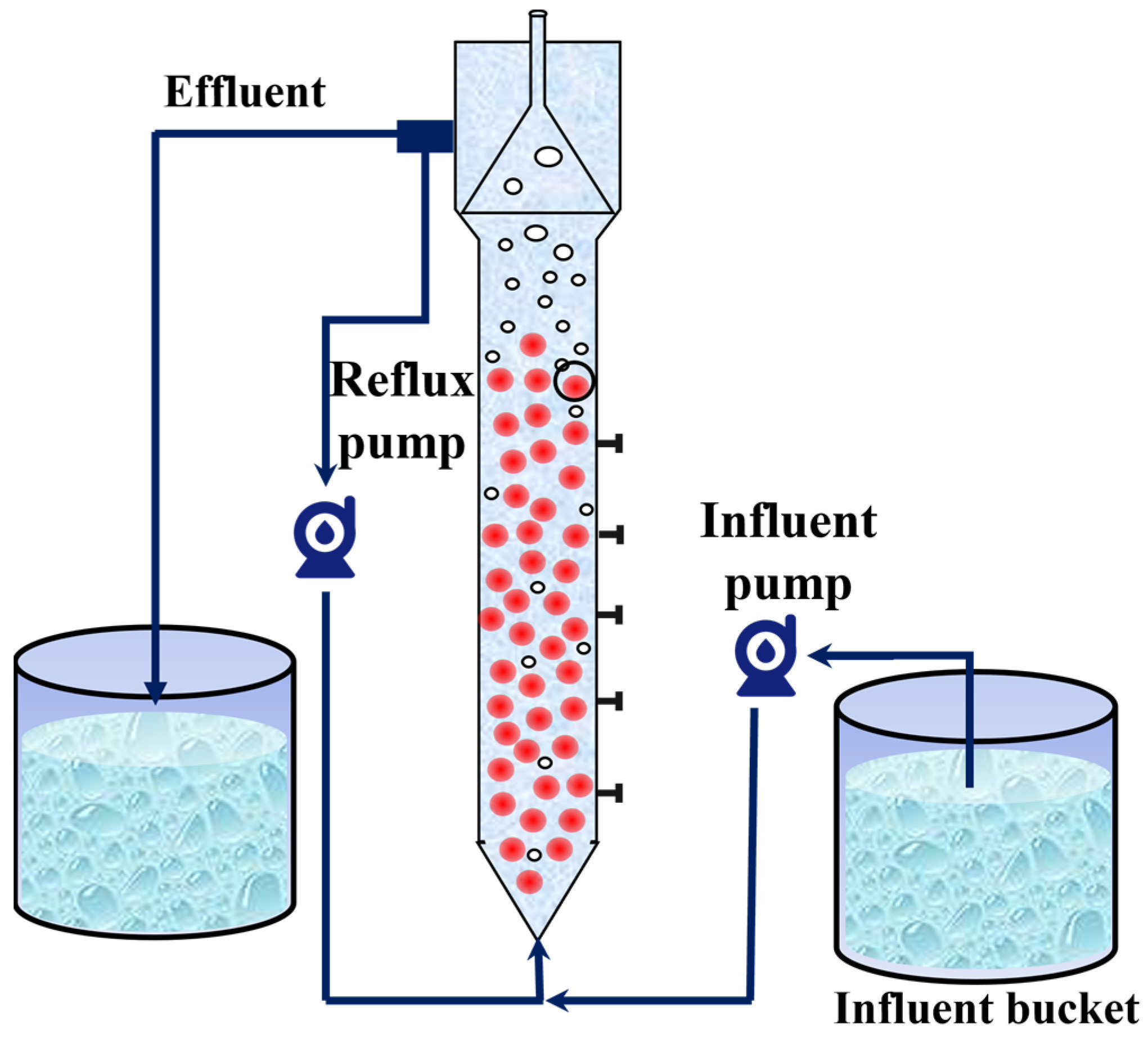 Microorganisms 13 00899 g001