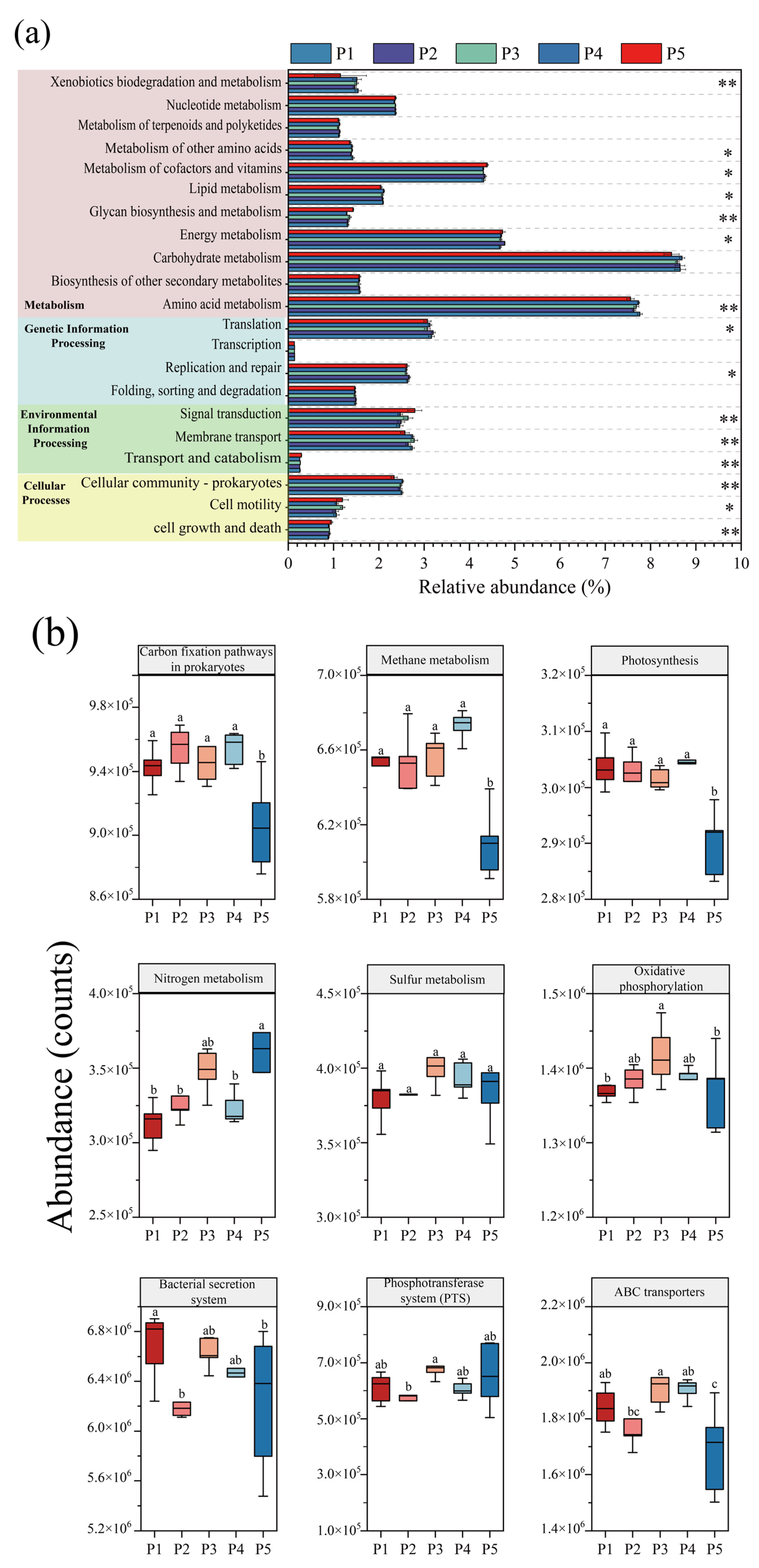Microorganisms 13 00899 g006