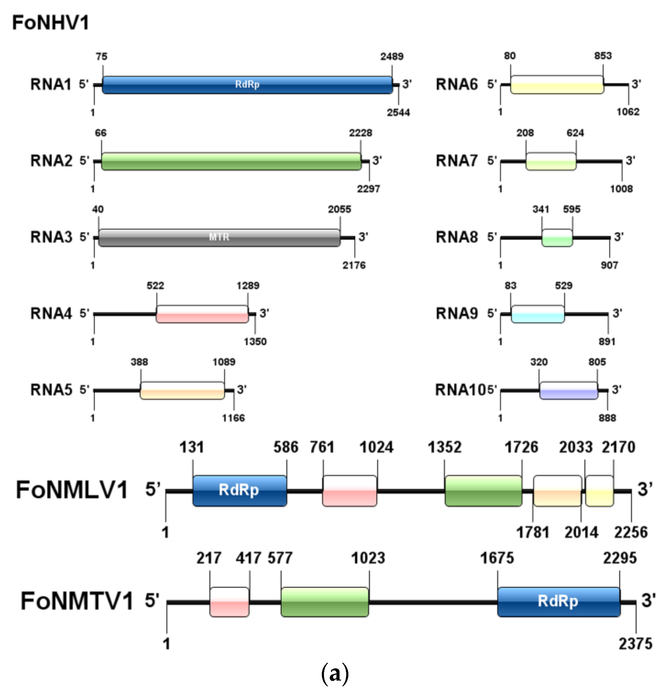 Microorganisms 13 00906 g003a