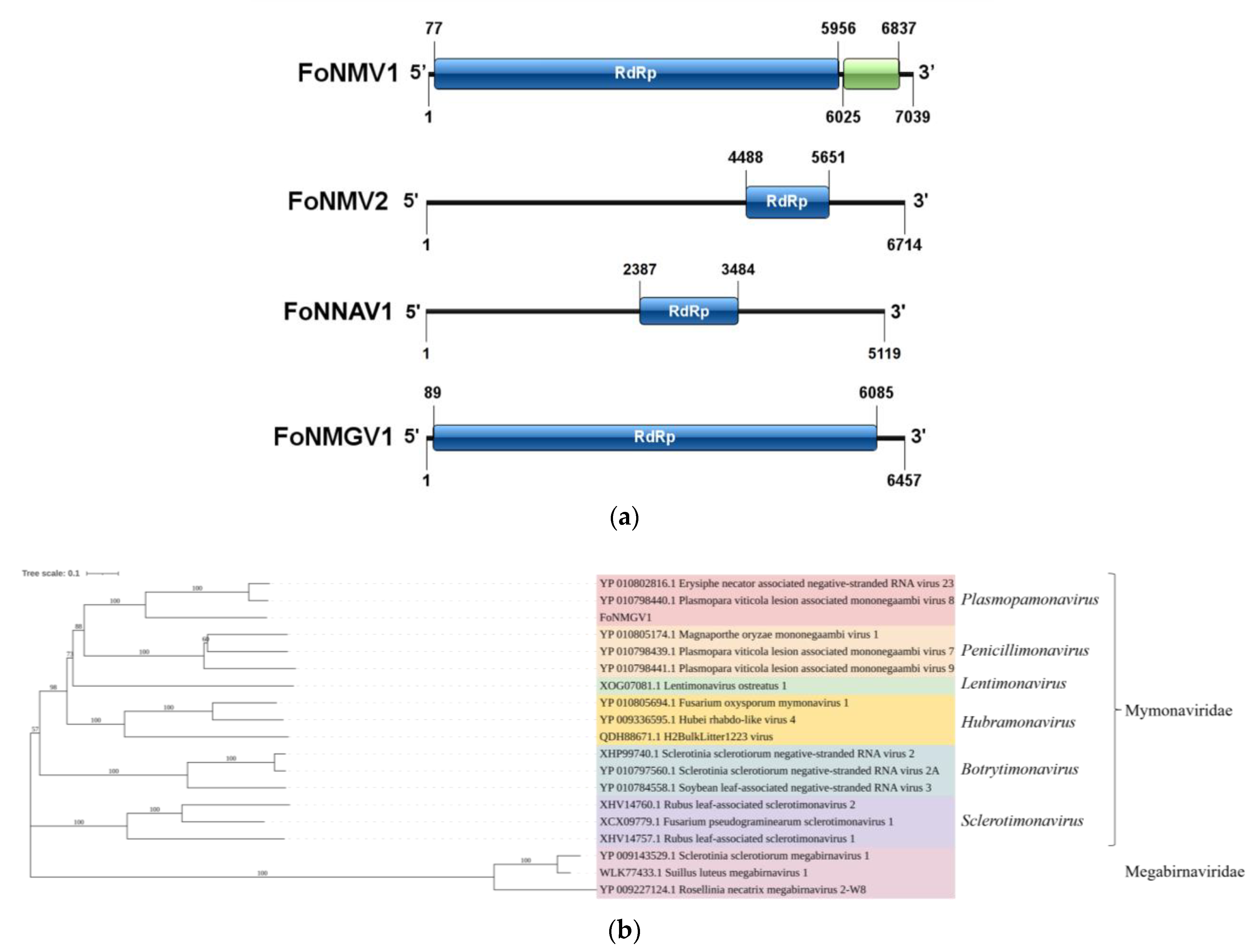 Microorganisms 13 00906 g004