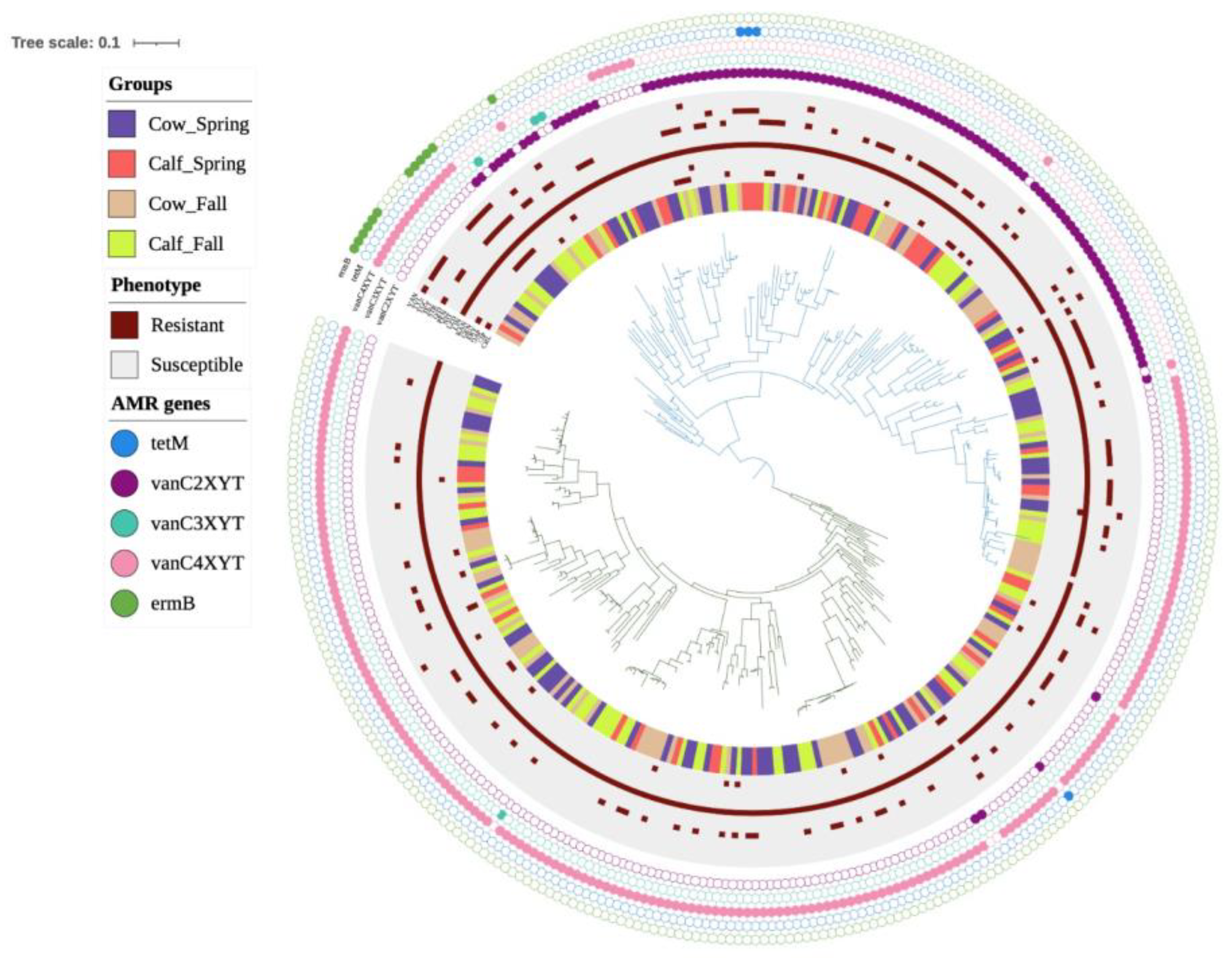 Microorganisms 13 00907 g002