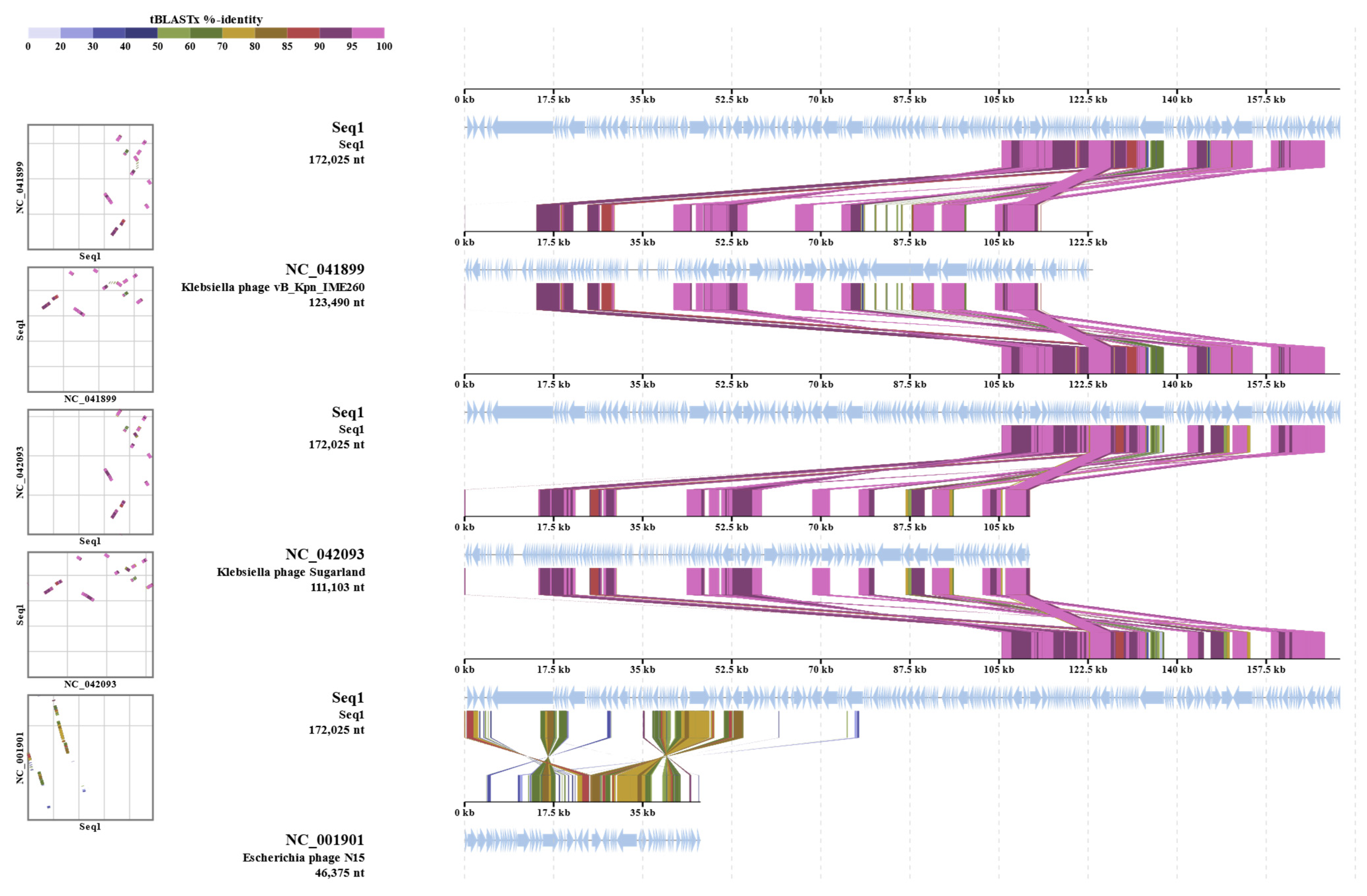 Microorganisms 13 00908 g005