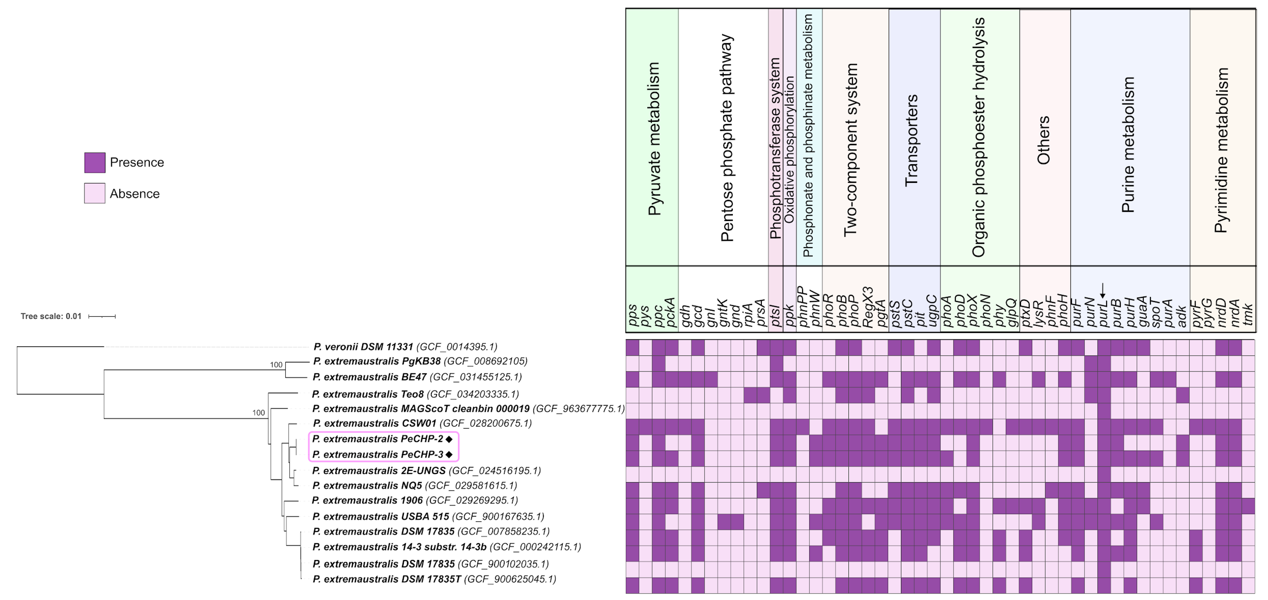 Microorganisms 13 00911 g001