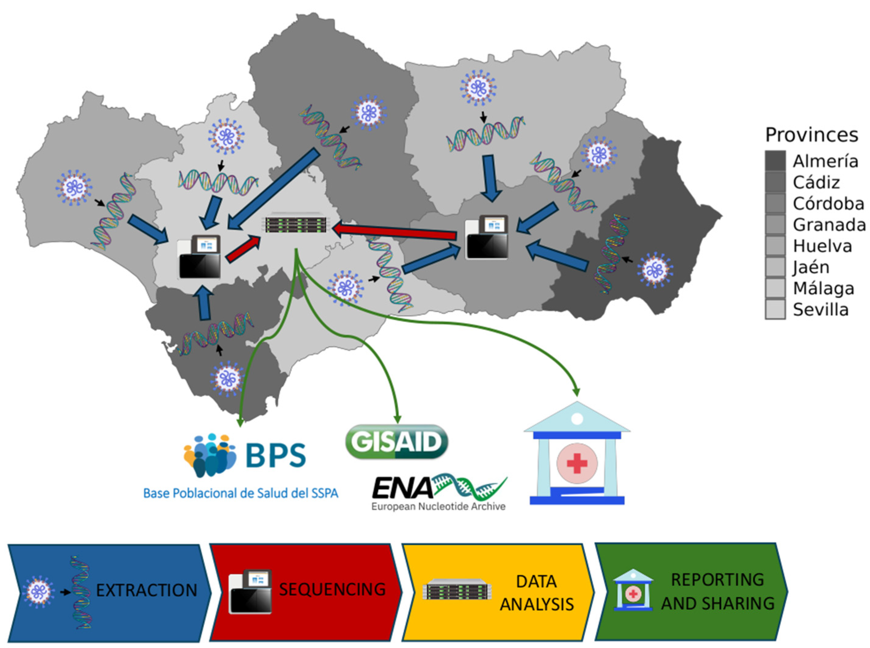 Microorganisms 13 00912 g001