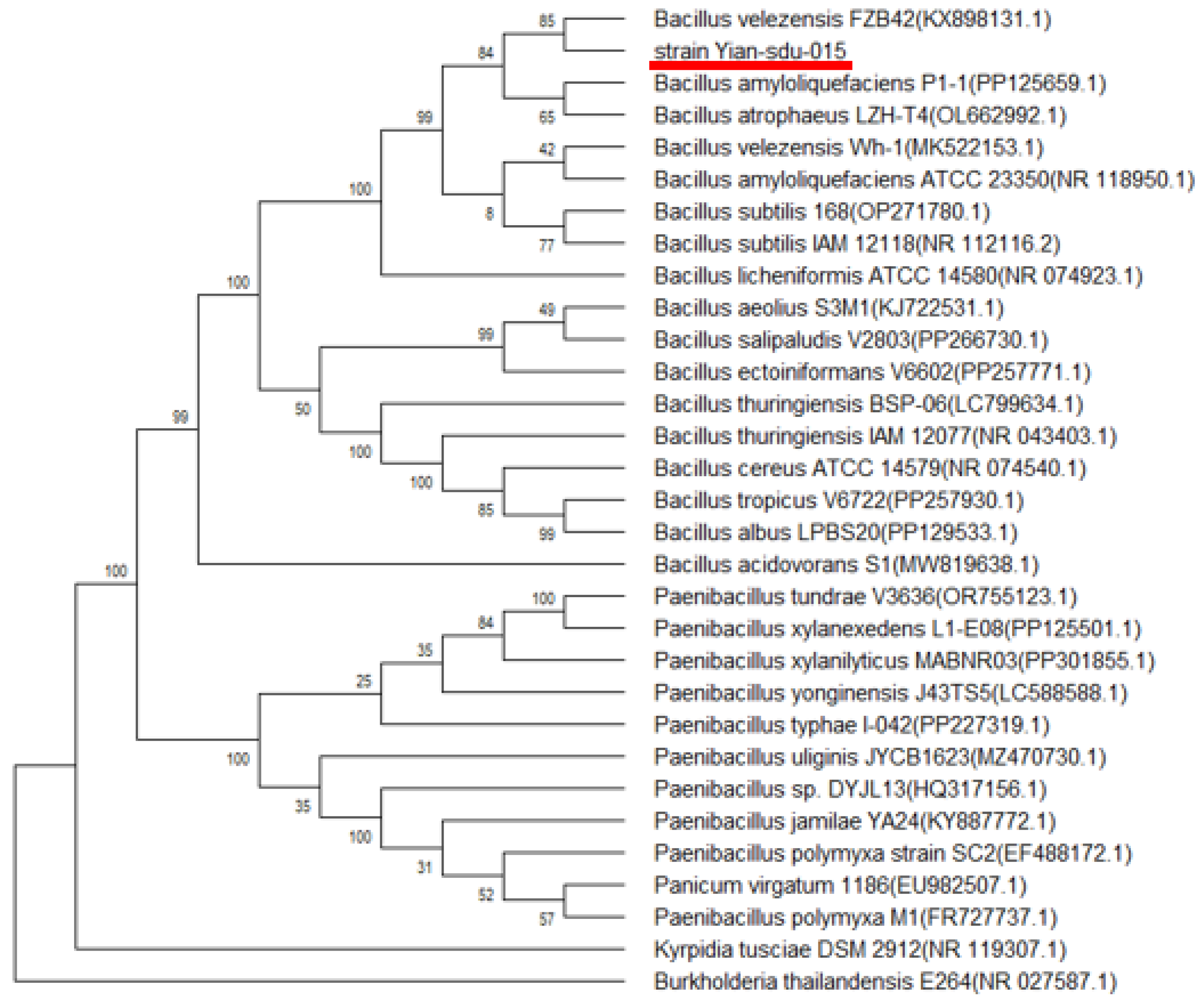 Microorganisms 13 00917 g001