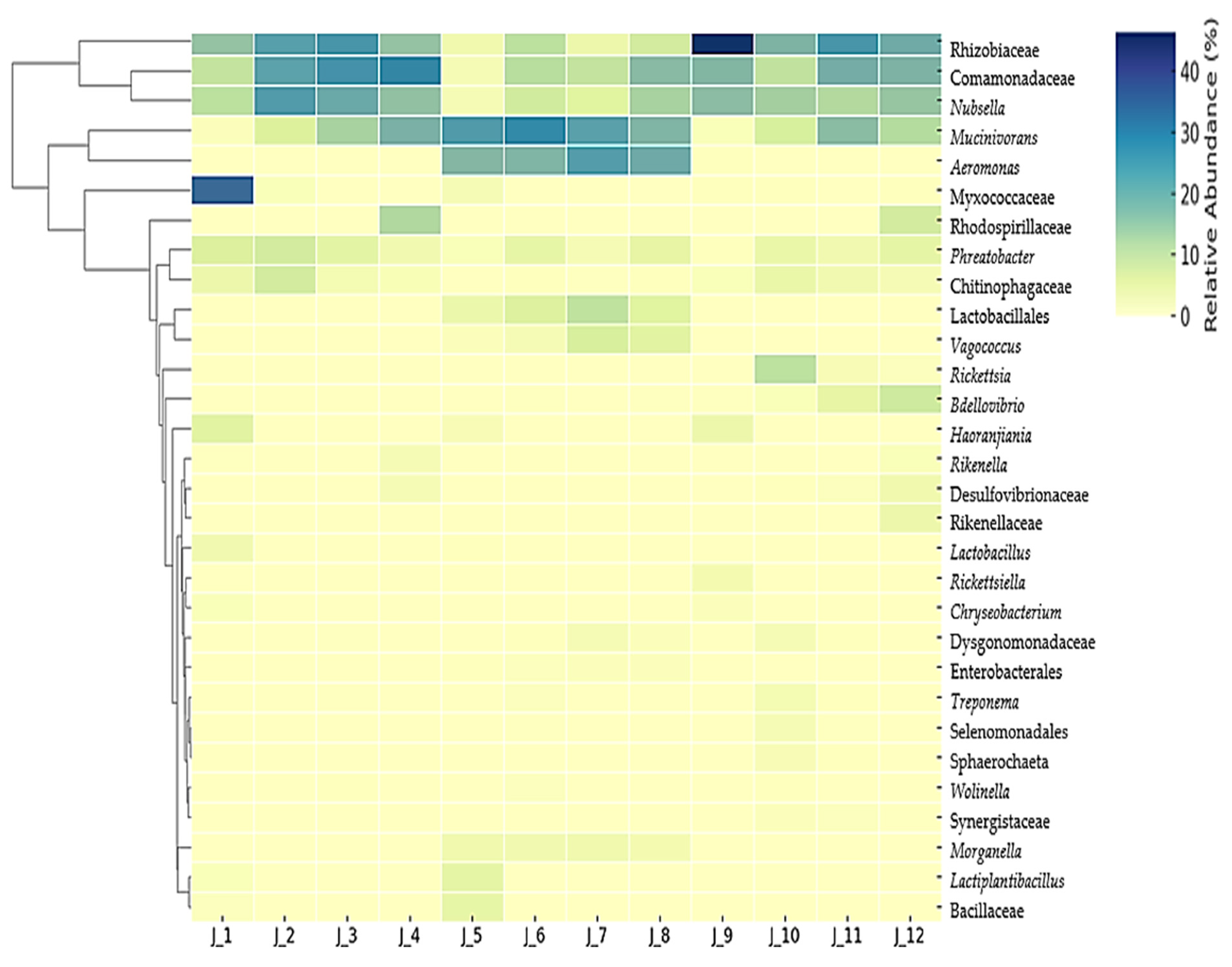 Microorganisms 13 00918 g004