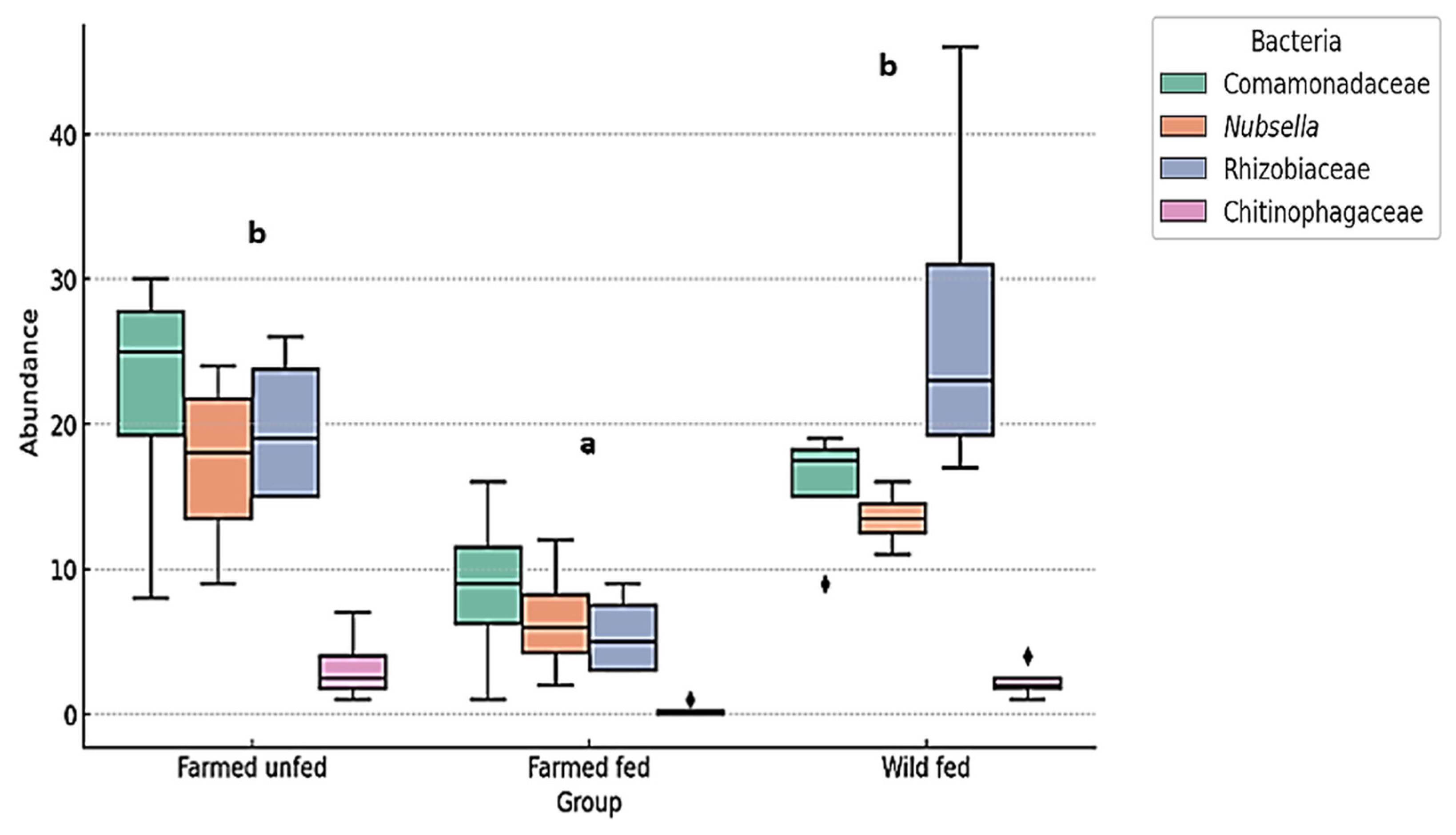 Microorganisms 13 00918 g007