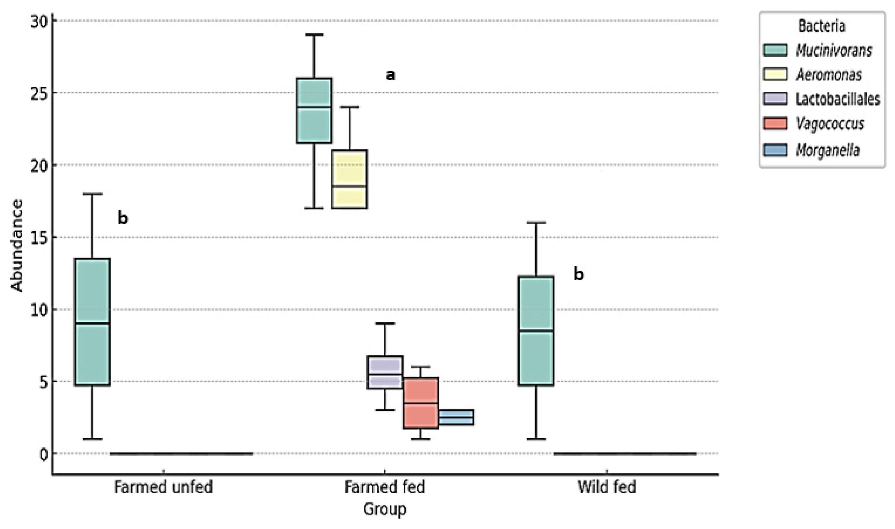 Microorganisms 13 00918 g008