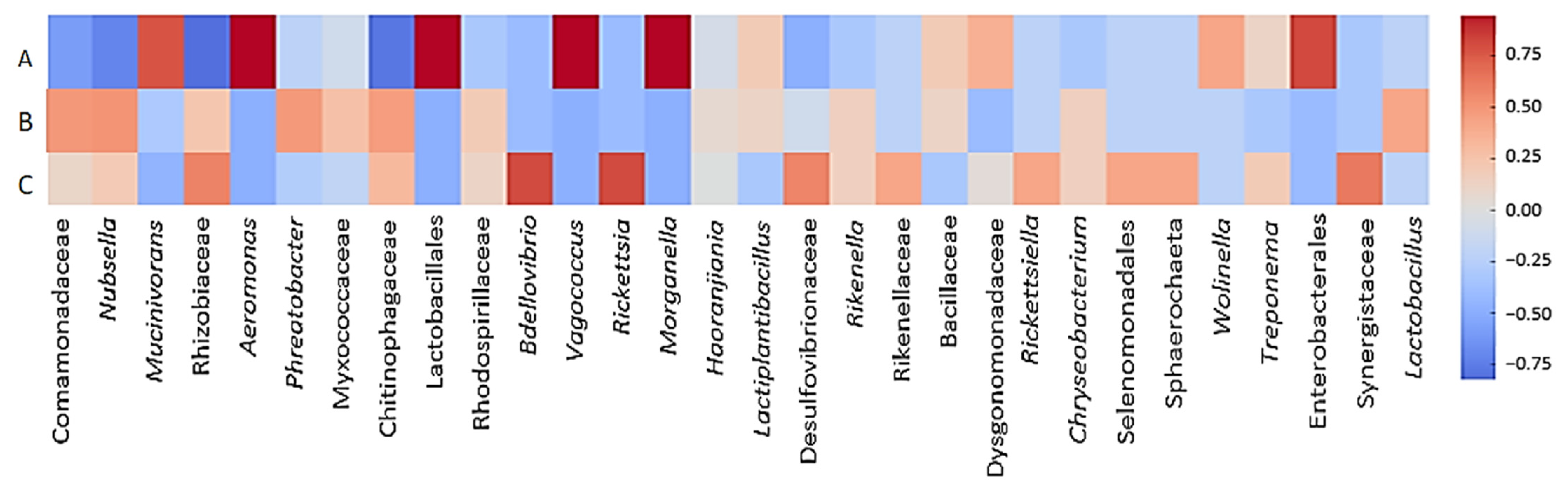 Microorganisms 13 00918 g010