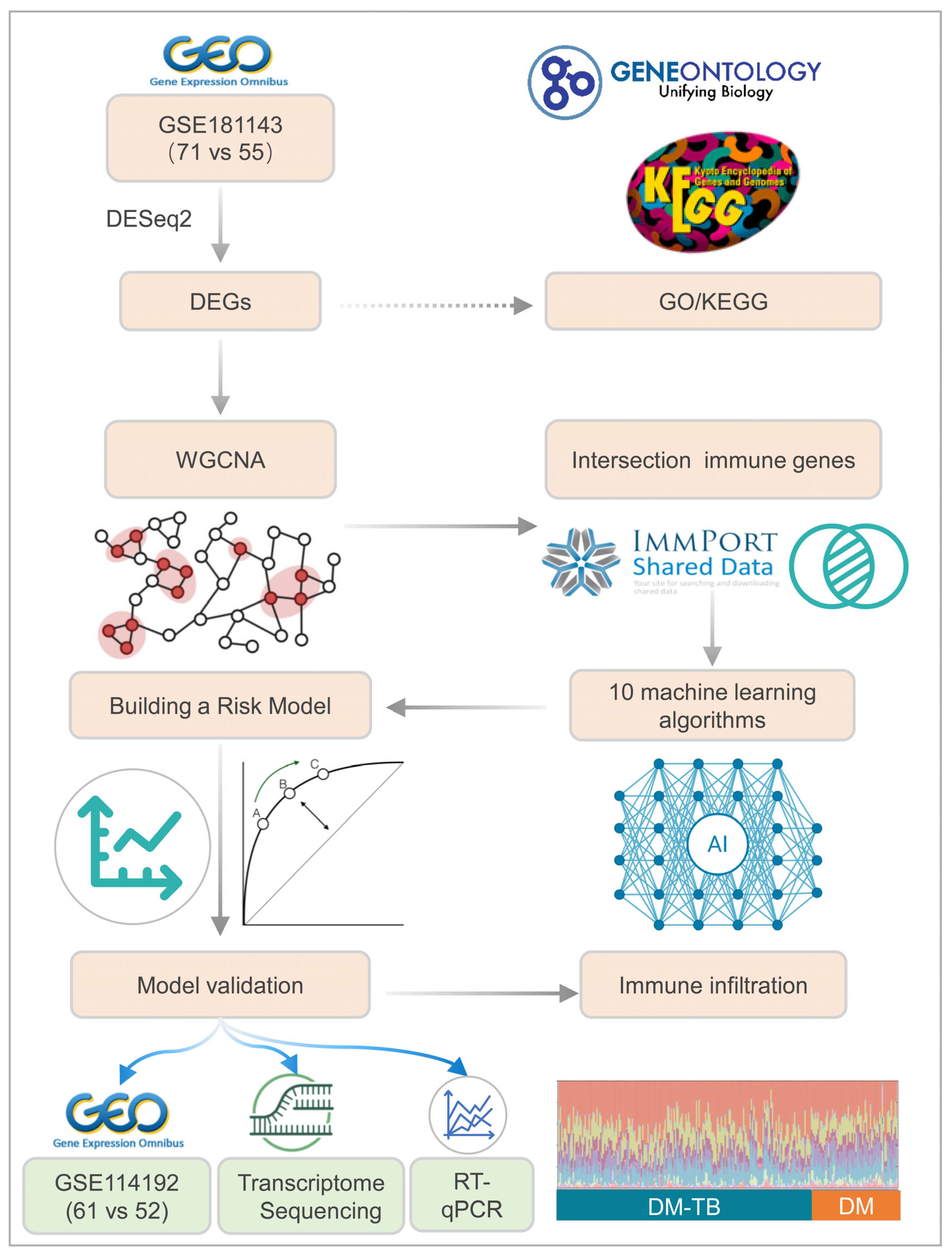Microorganisms 13 00919 g001