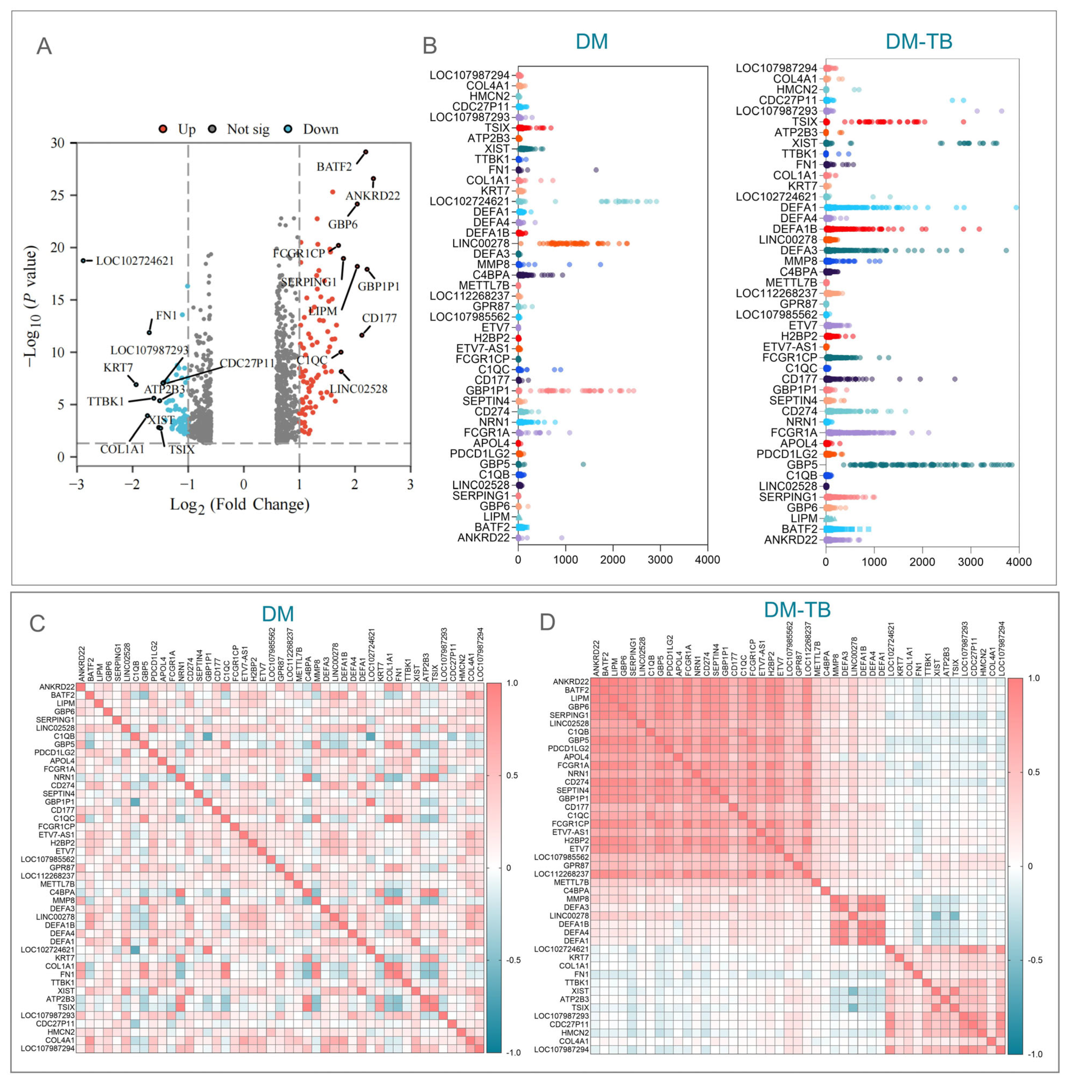 Microorganisms 13 00919 g002