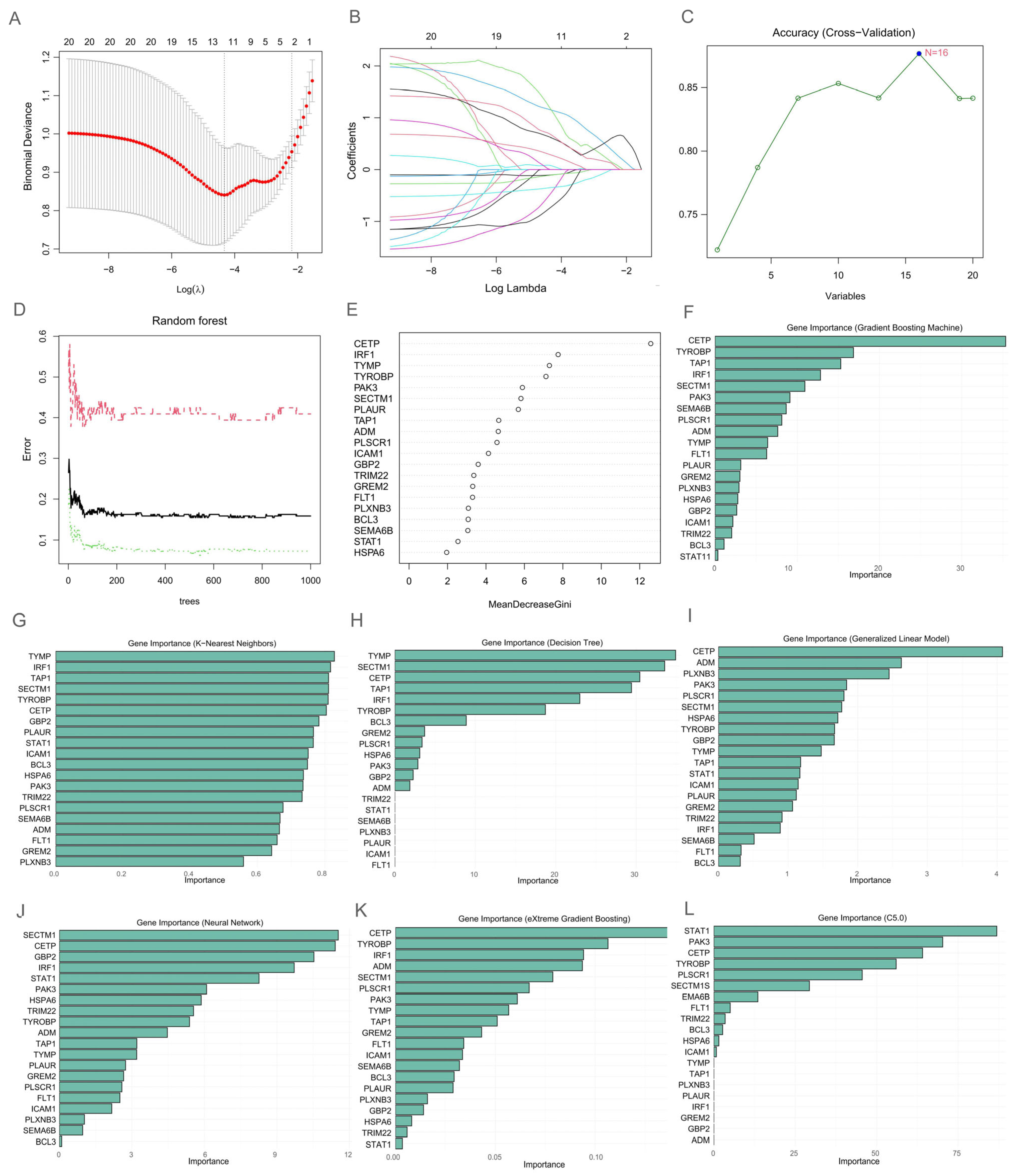 Microorganisms 13 00919 g006