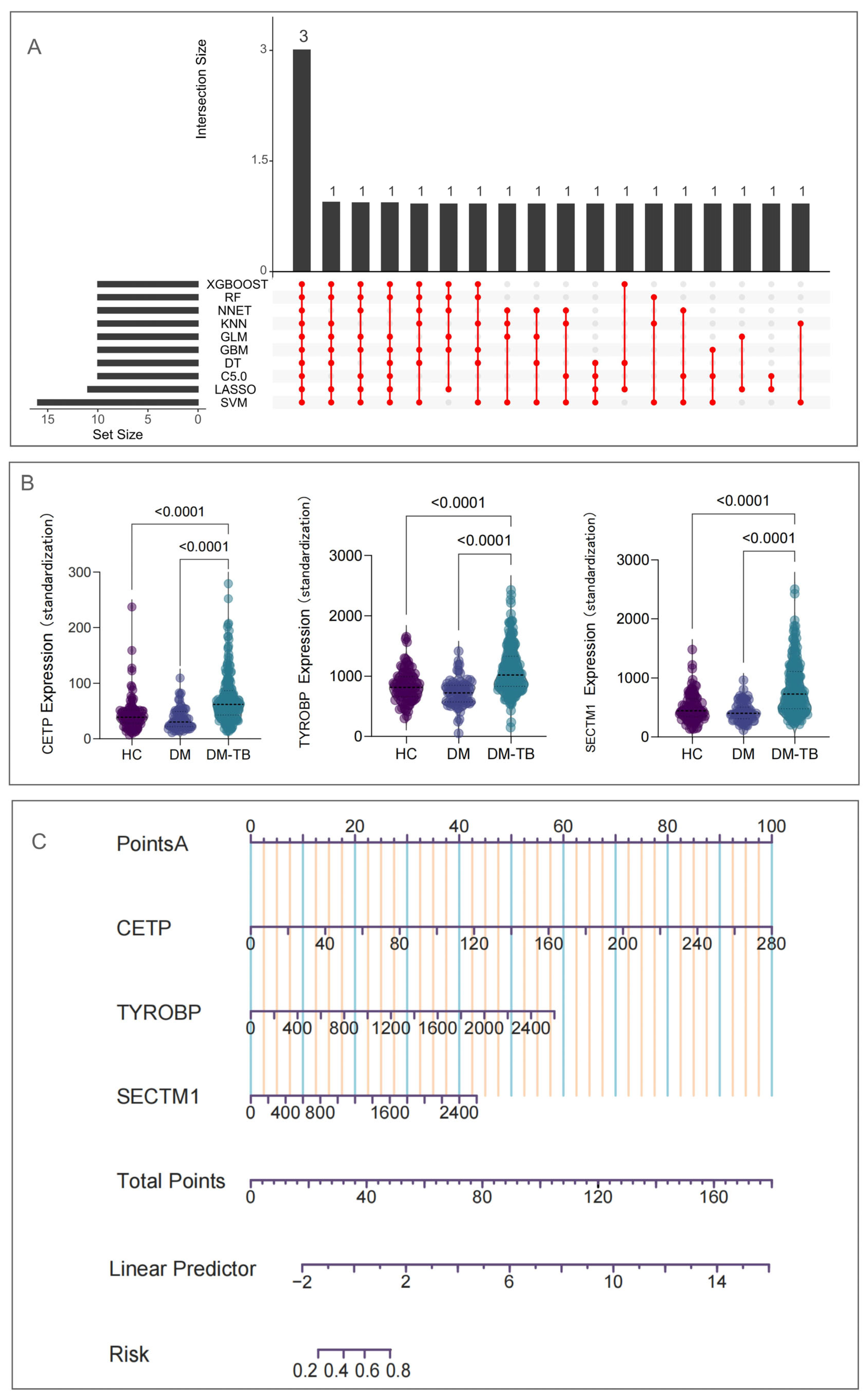 Microorganisms 13 00919 g007