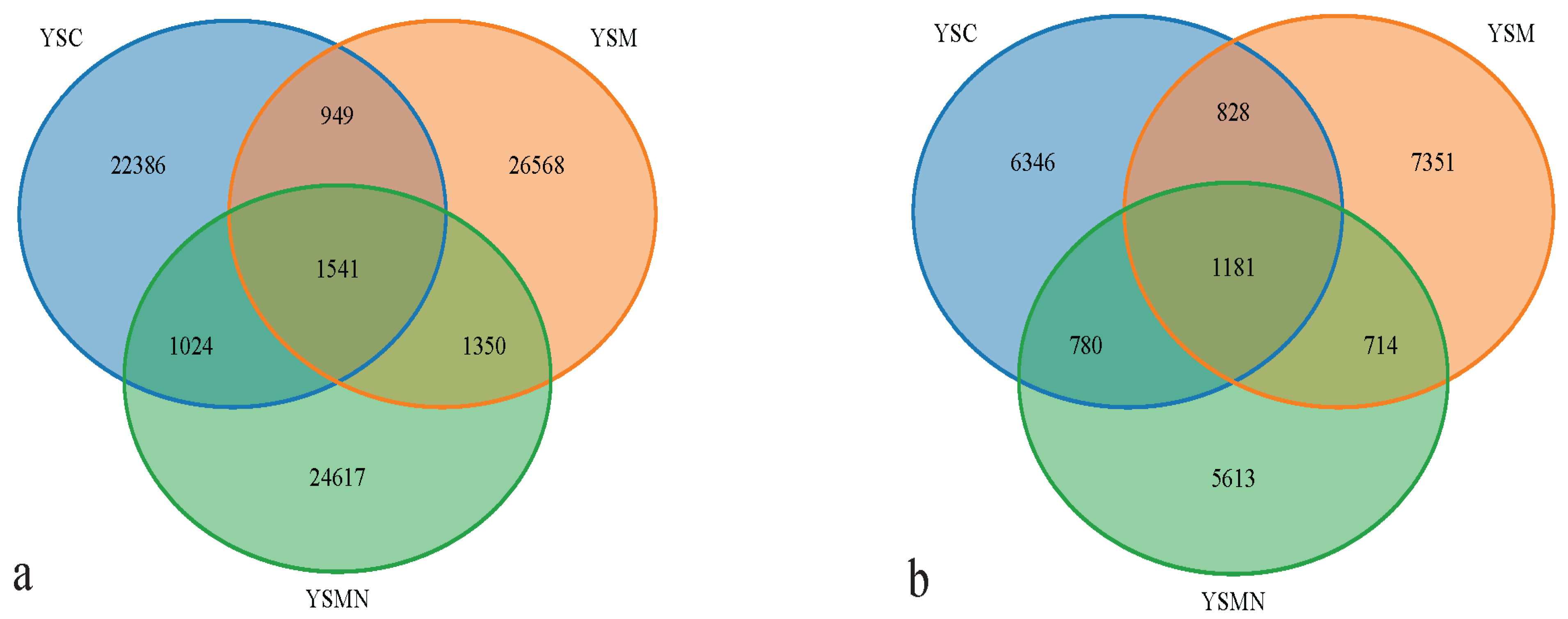 Microorganisms 13 00921 g004