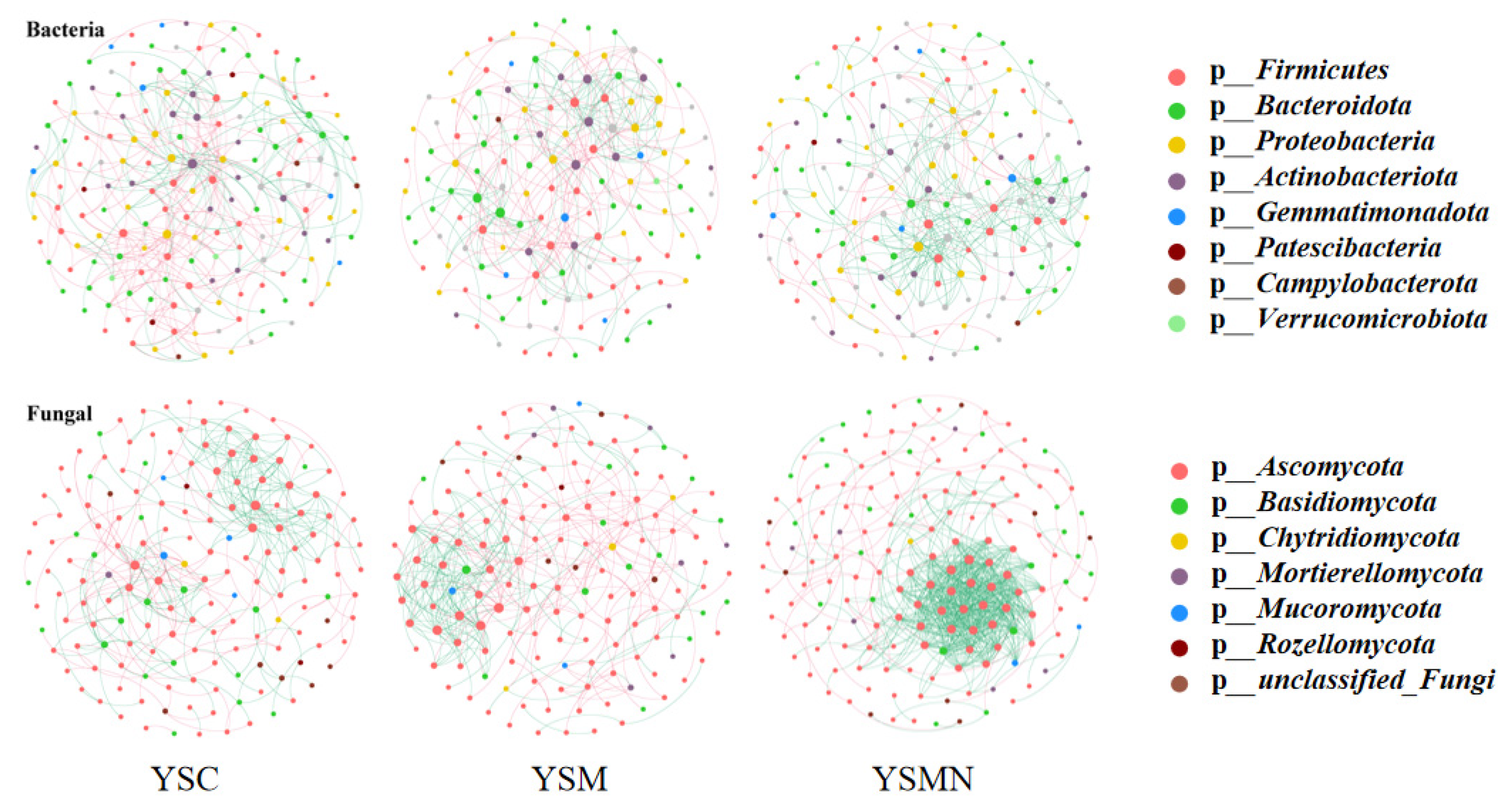 Microorganisms 13 00921 g010
