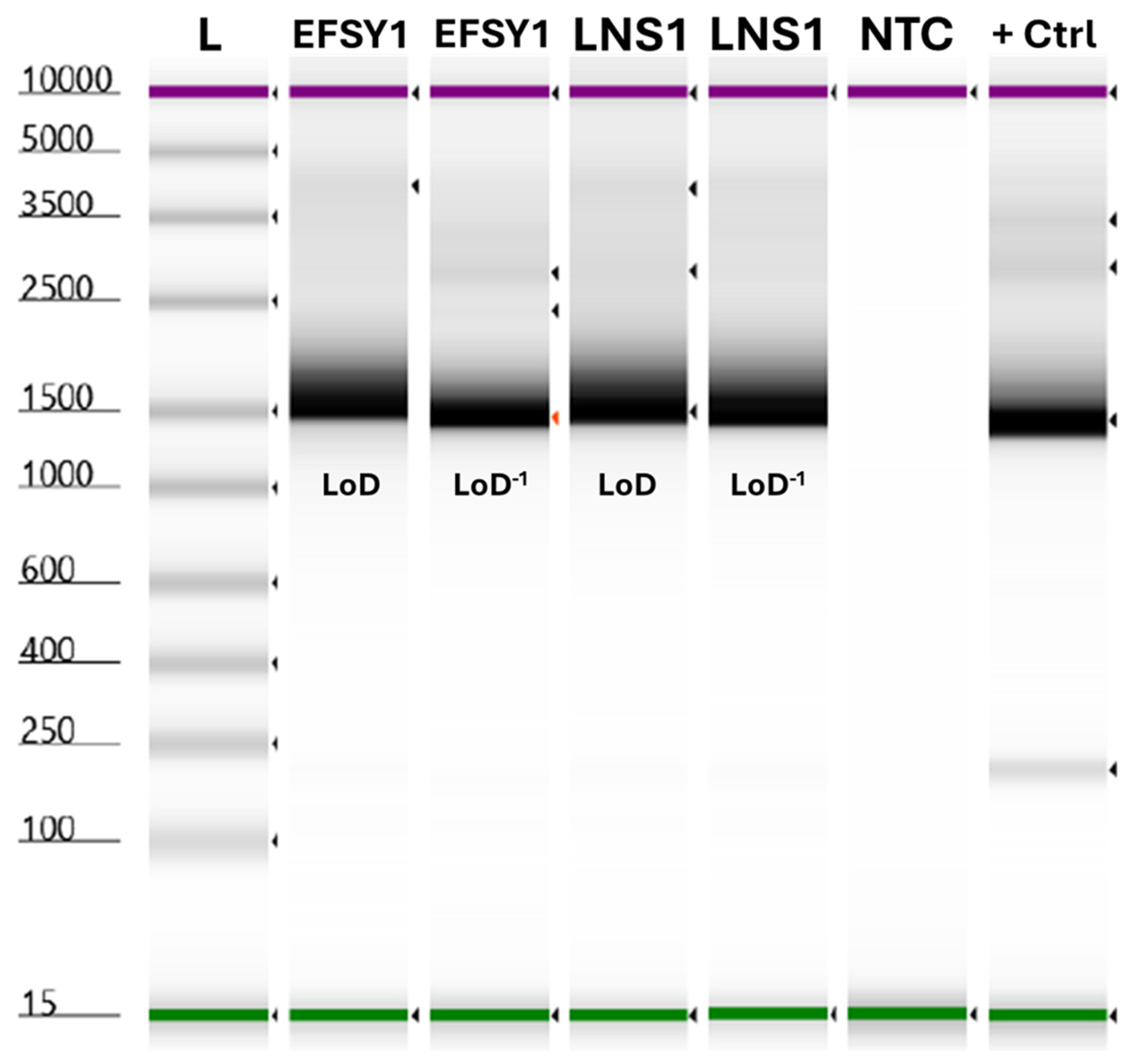 Microorganisms 13 00929 g001