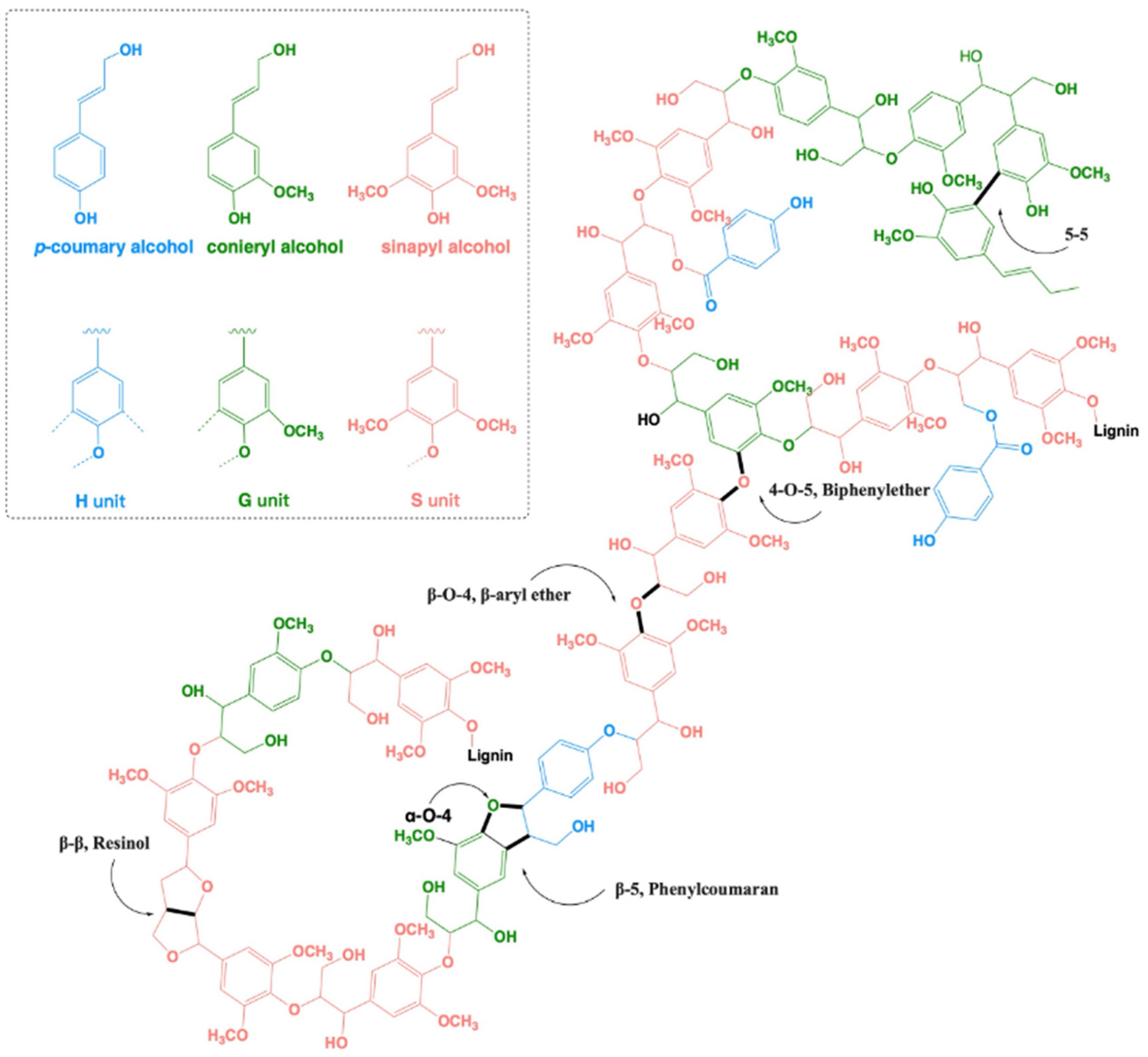 Microorganisms 13 00935 g001
