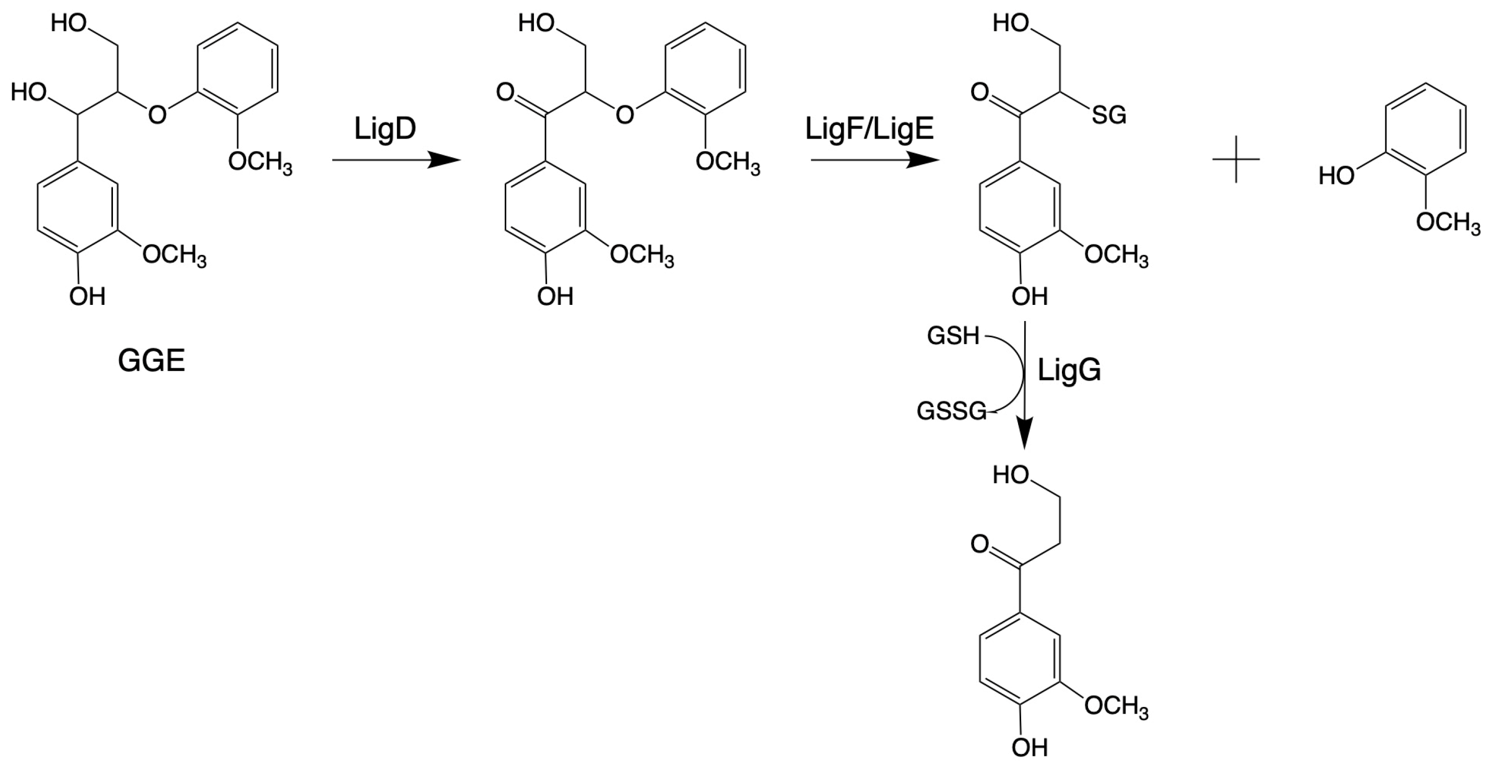 Microorganisms 13 00935 g002