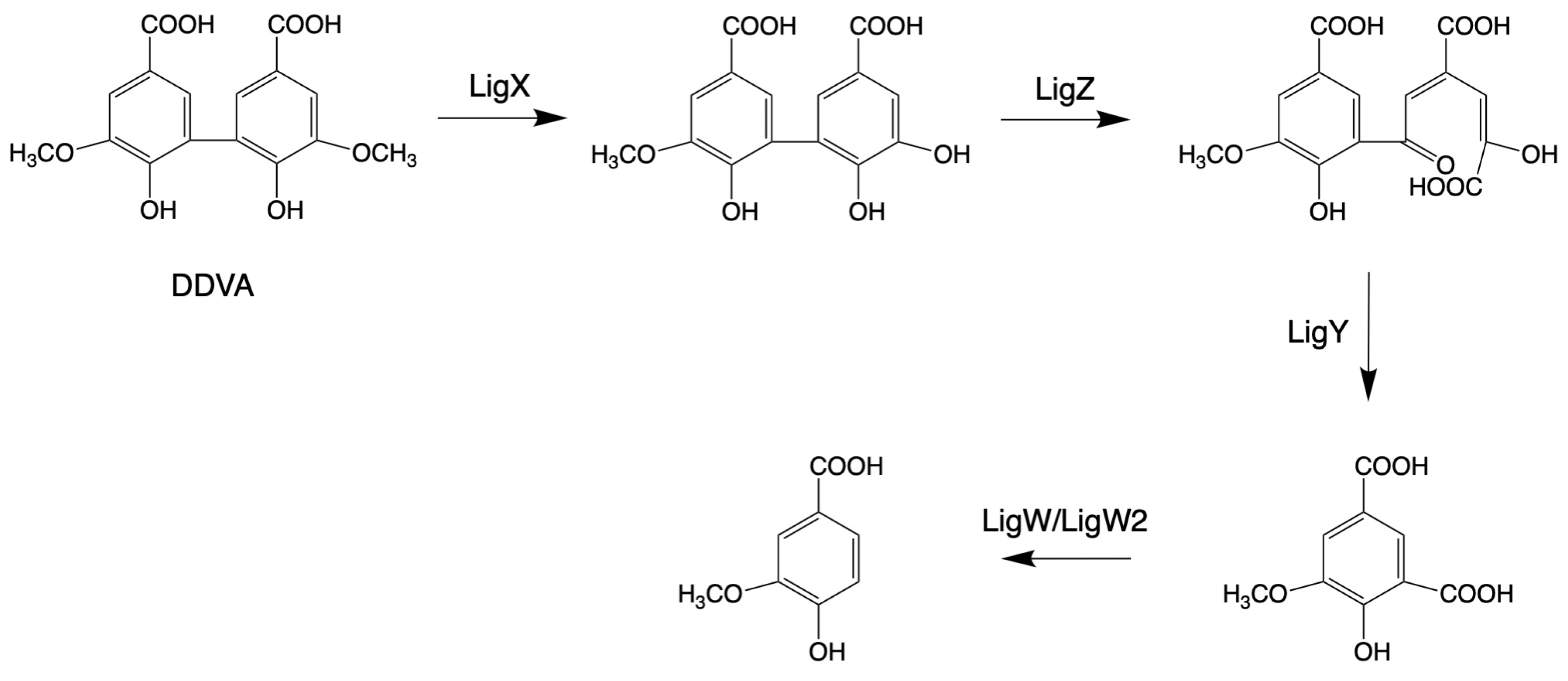 Microorganisms 13 00935 g003