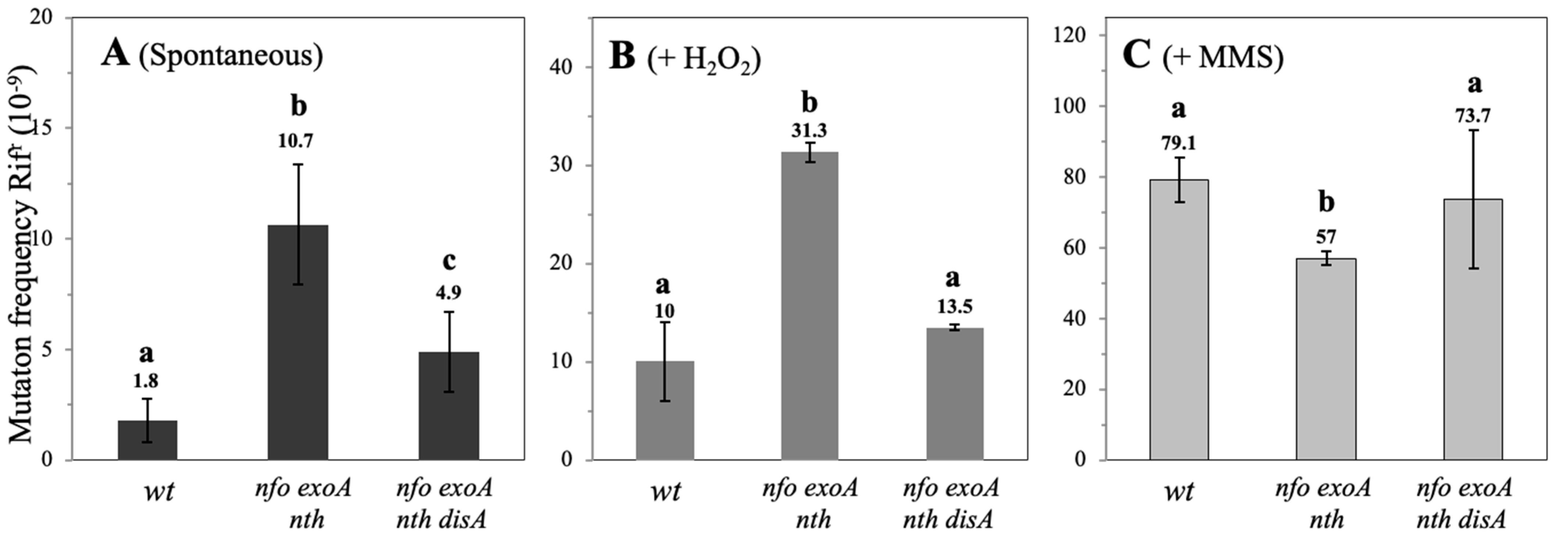 Microorganisms 13 00939 g004