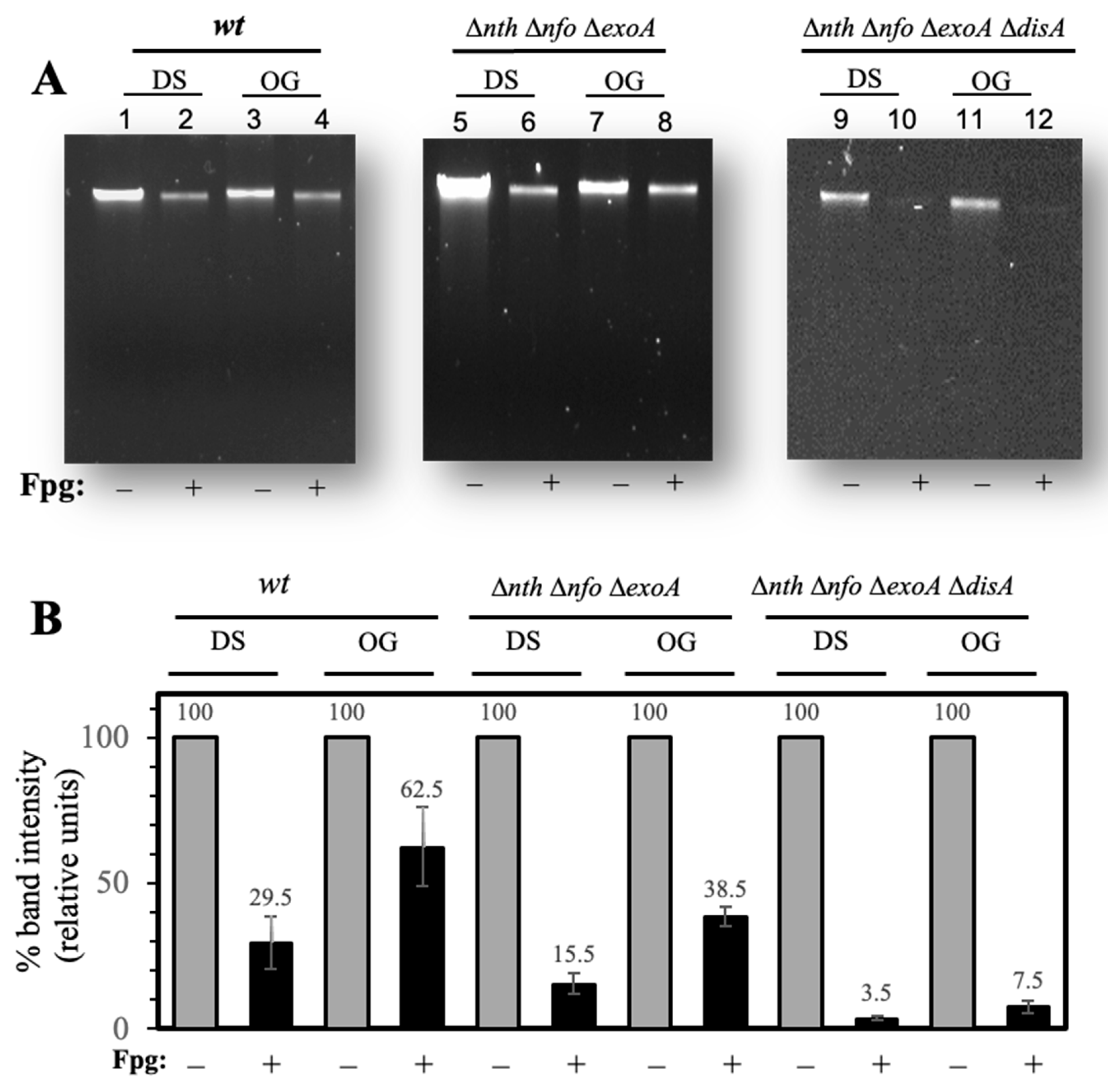 Microorganisms 13 00939 g005