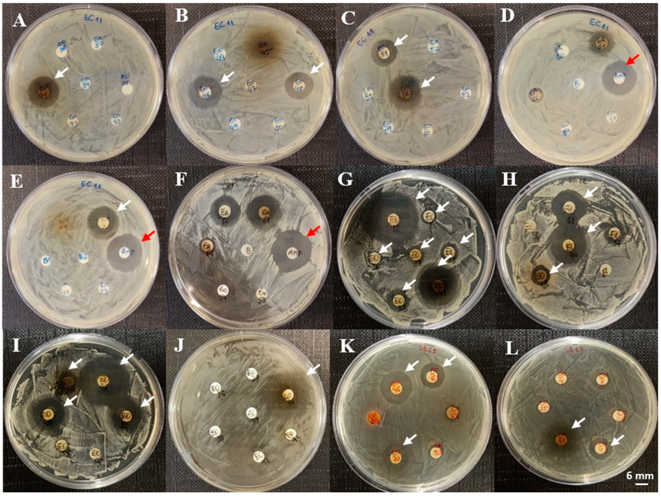 Microorganisms 13 00940 g004 Microorganisms 13 00940 g004
