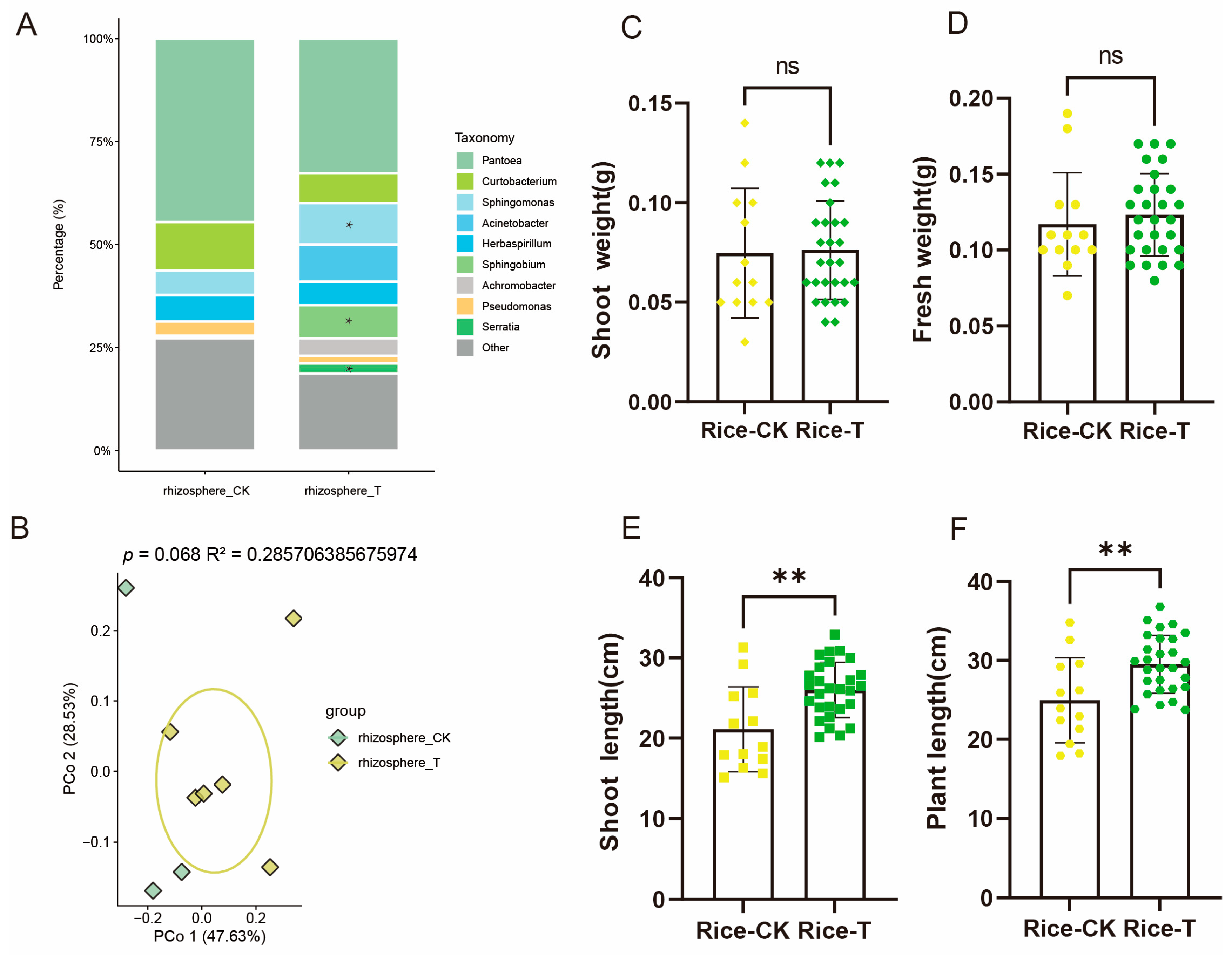 Microorganisms 13 00947 g007