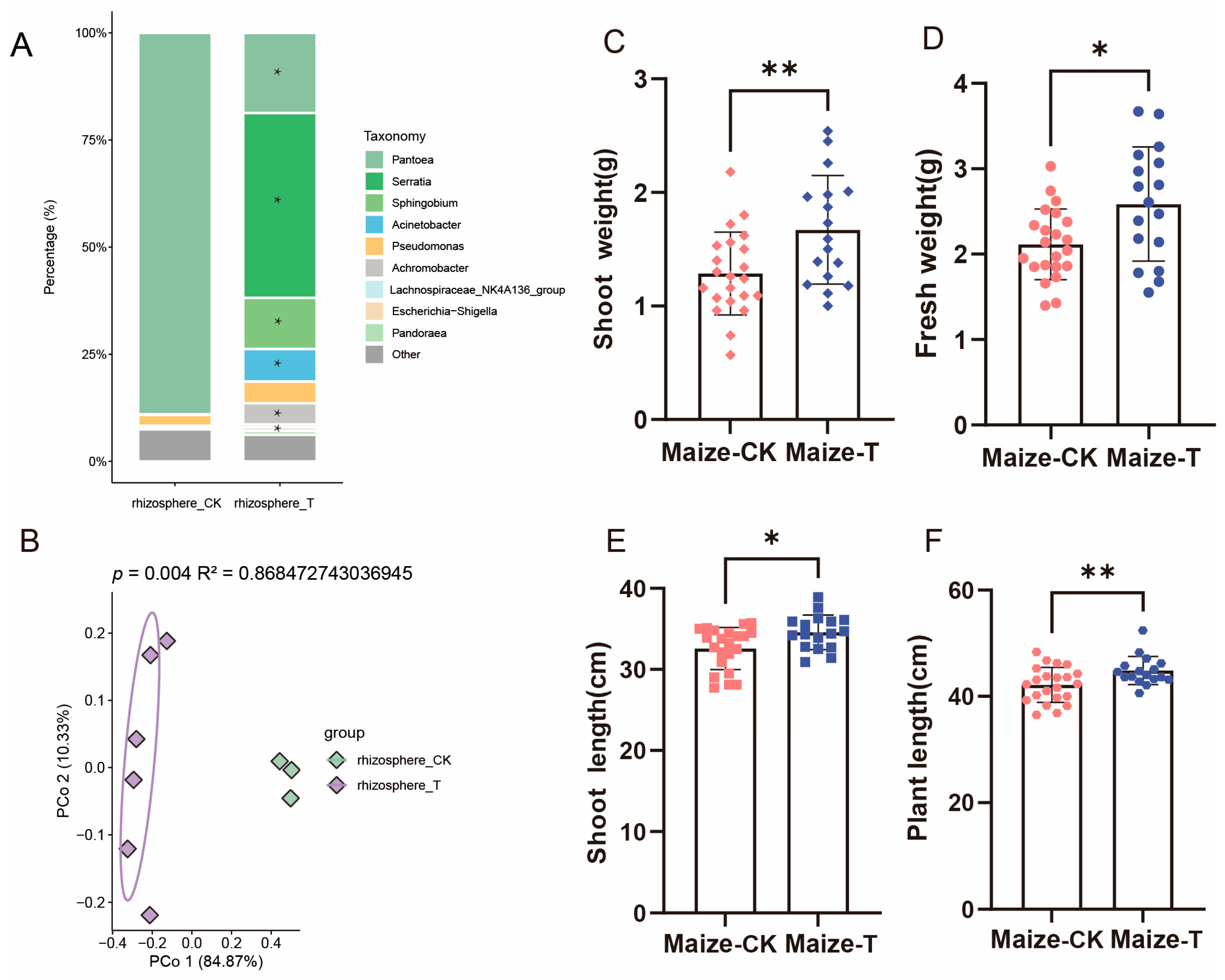 Microorganisms 13 00947 g008