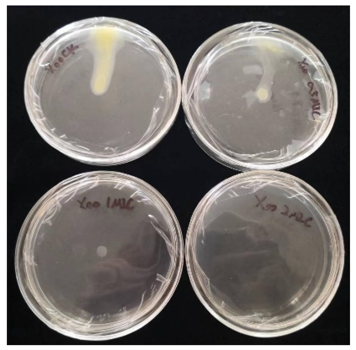 Microorganisms 13 00953 g006