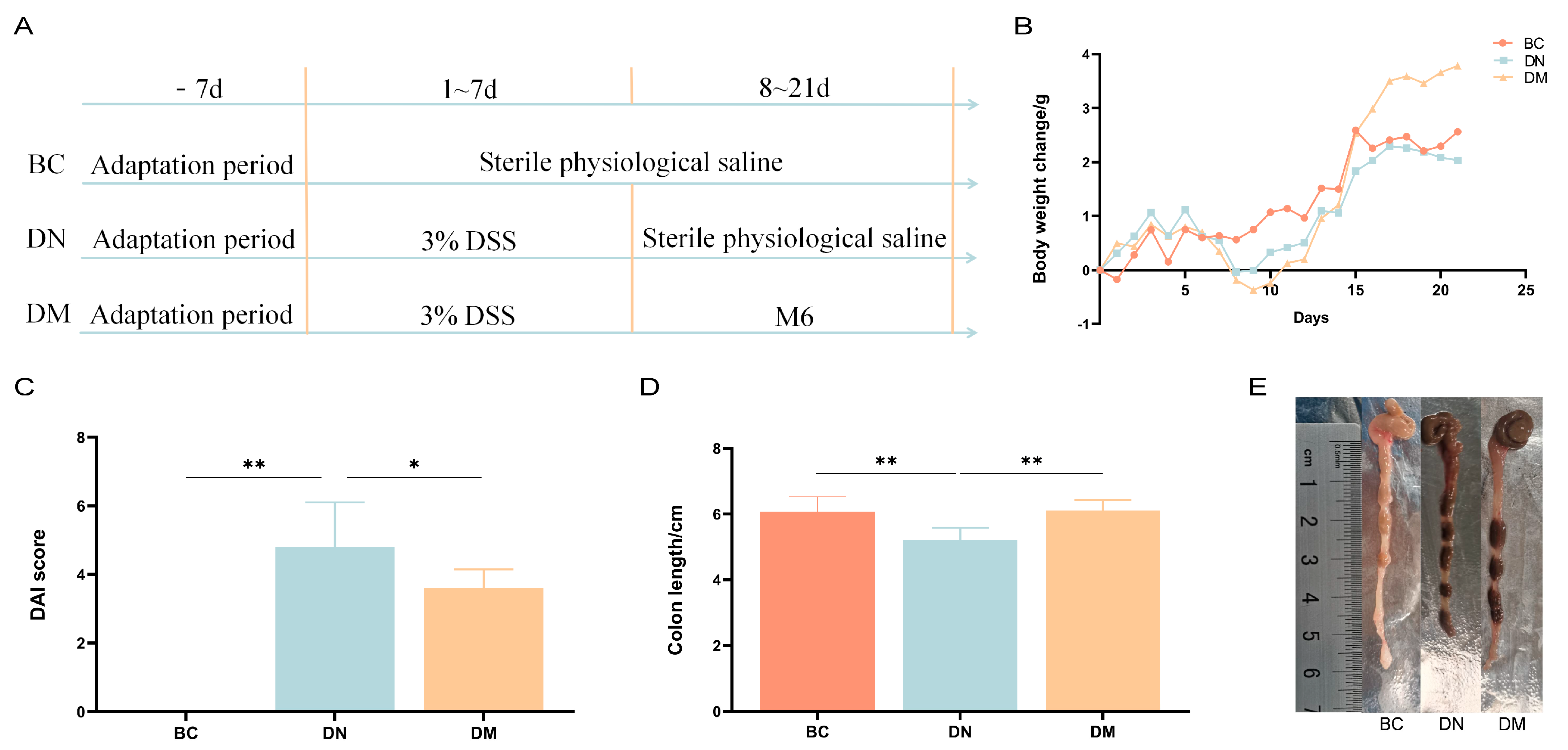 Microorganisms 13 00957 g004
