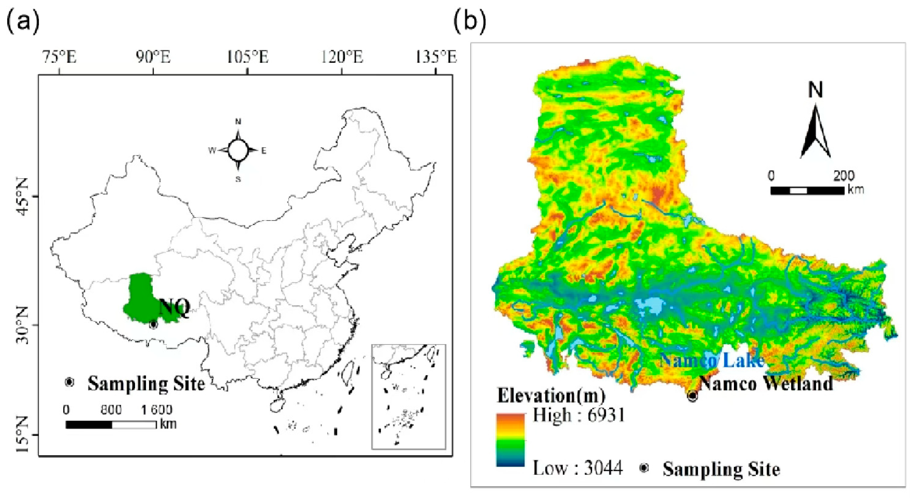 Microorganisms 13 00962 g001