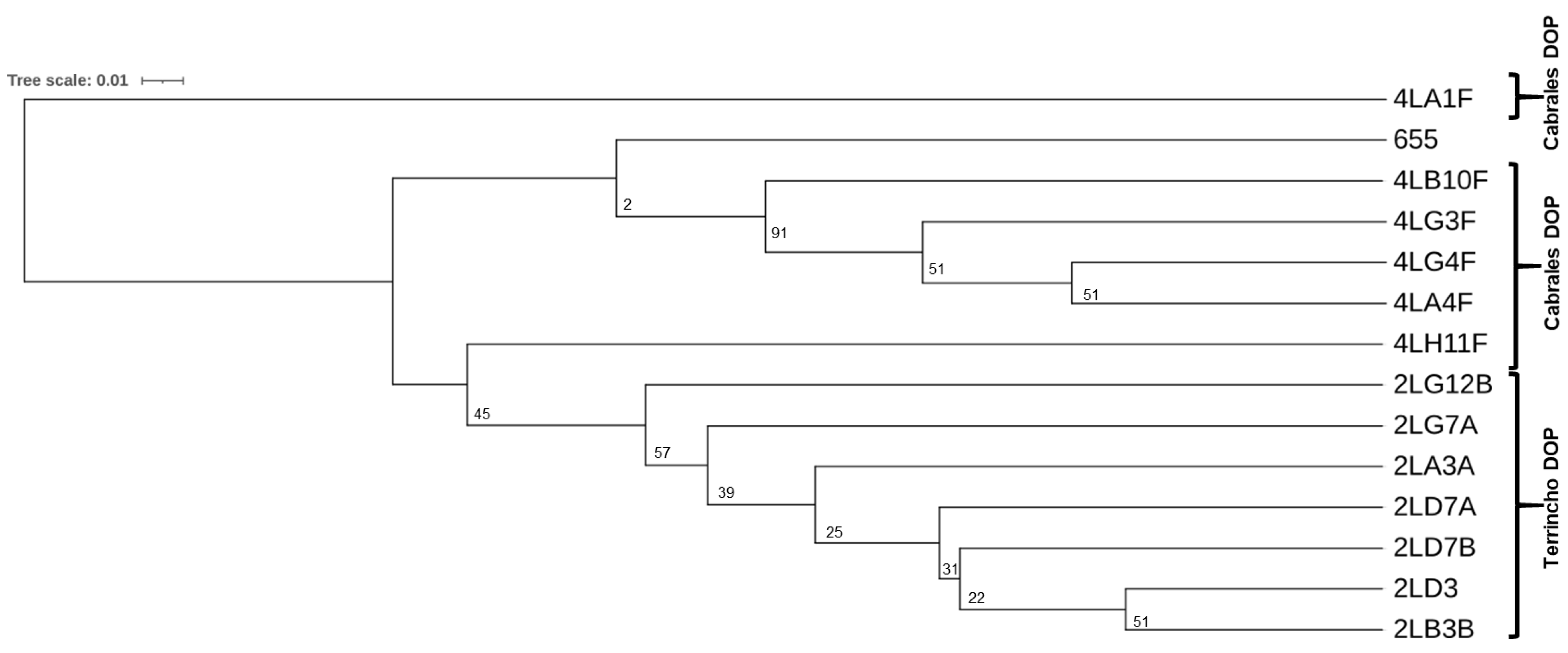 Microorganisms 13 00966 g003