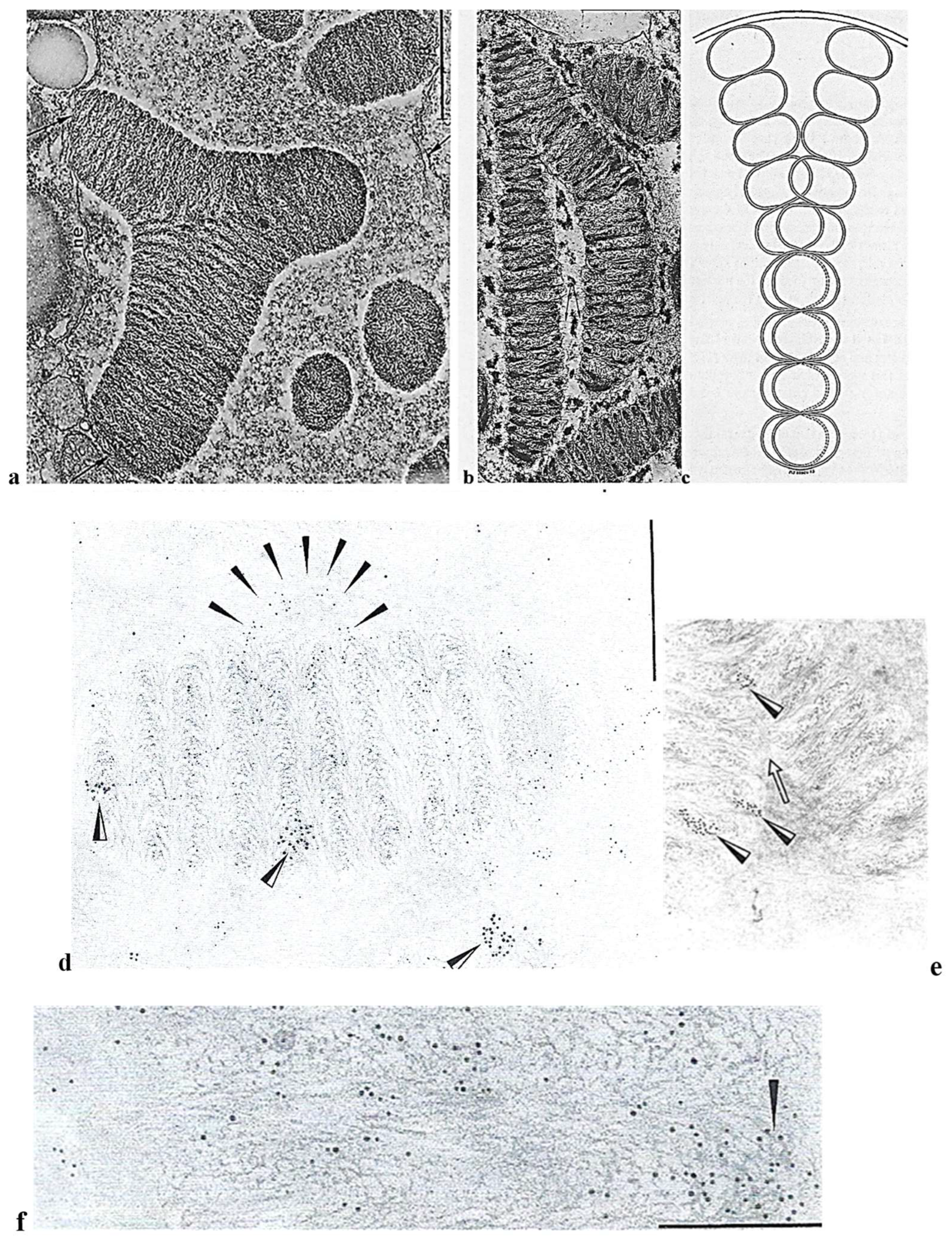 Microorganisms 13 00969 g003