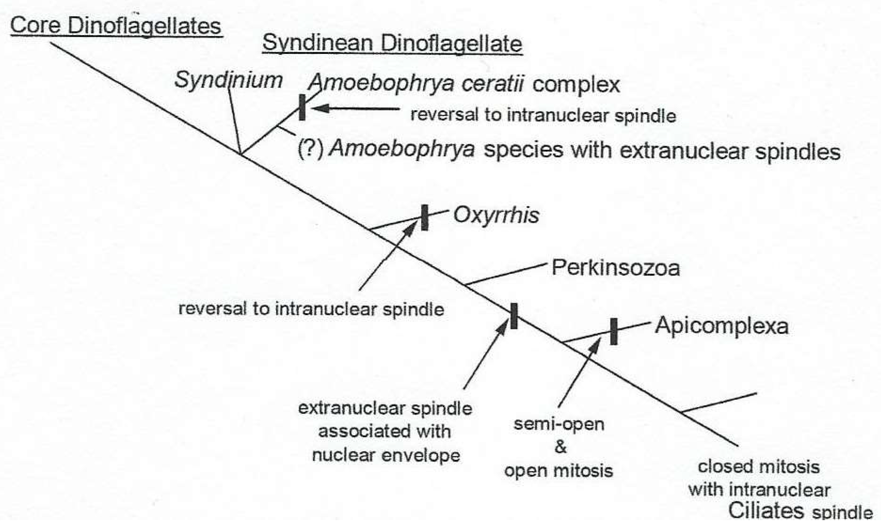 Microorganisms 13 00969 g020