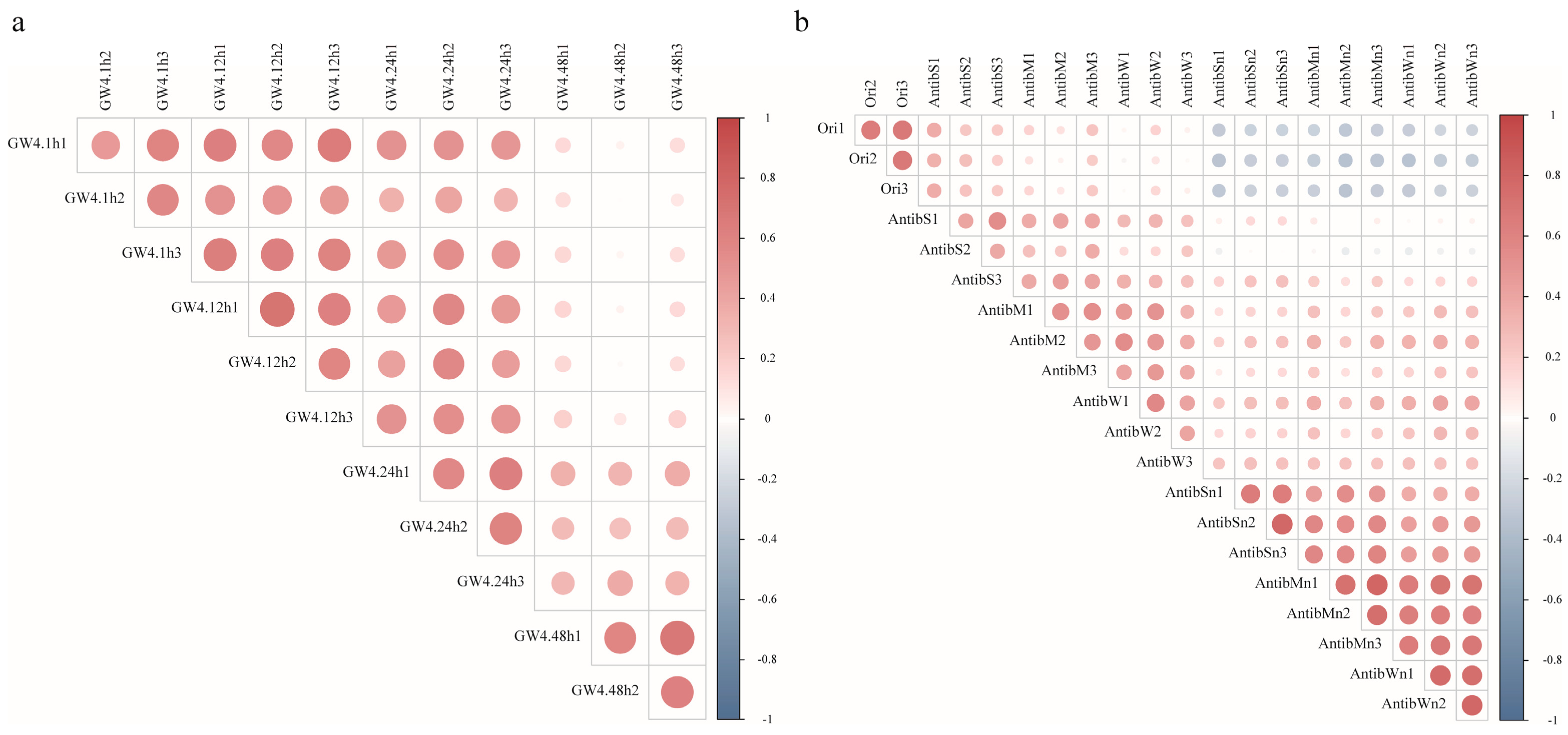 Microorganisms 13 00972 g001