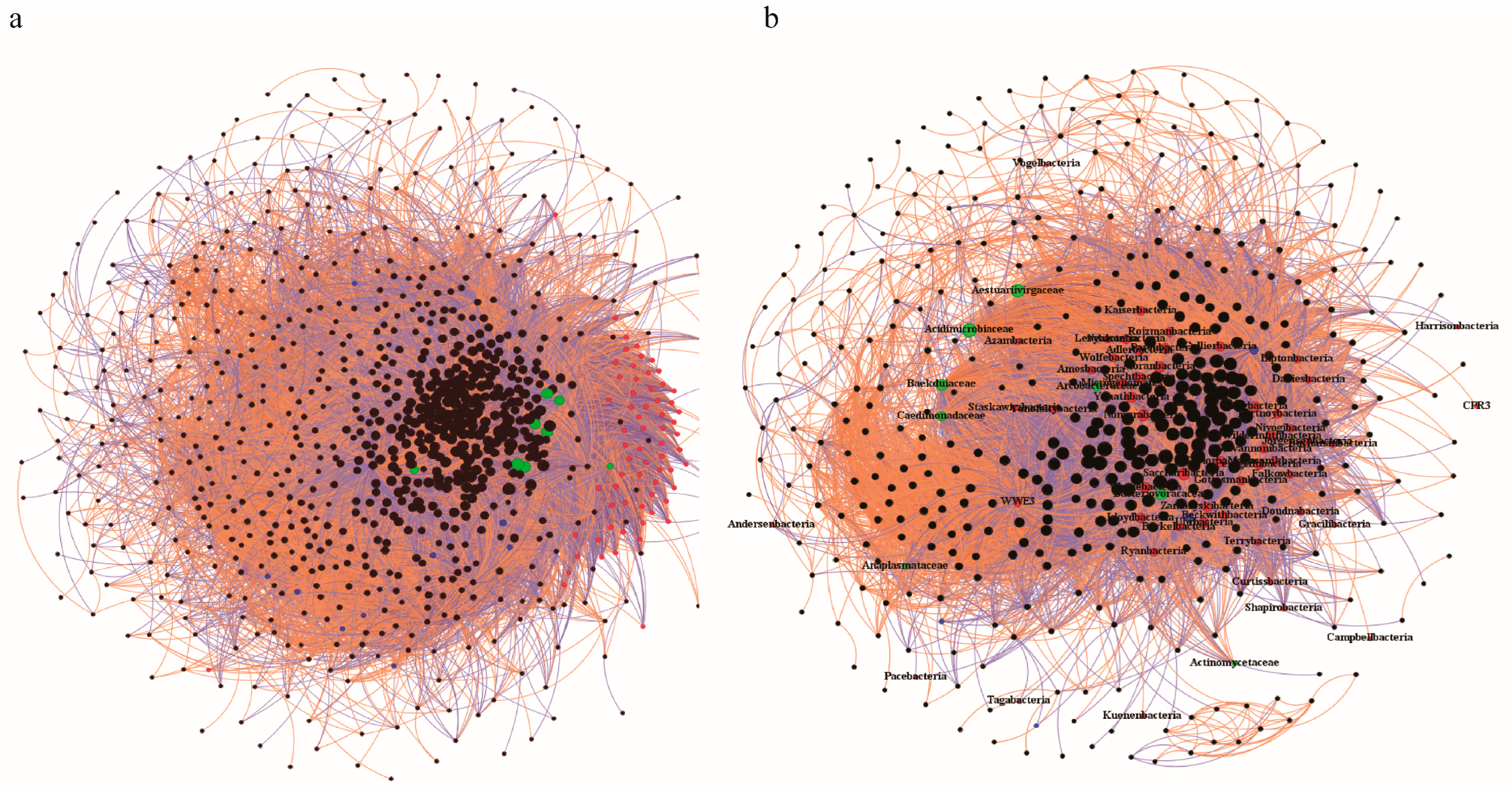 Microorganisms 13 00972 g004