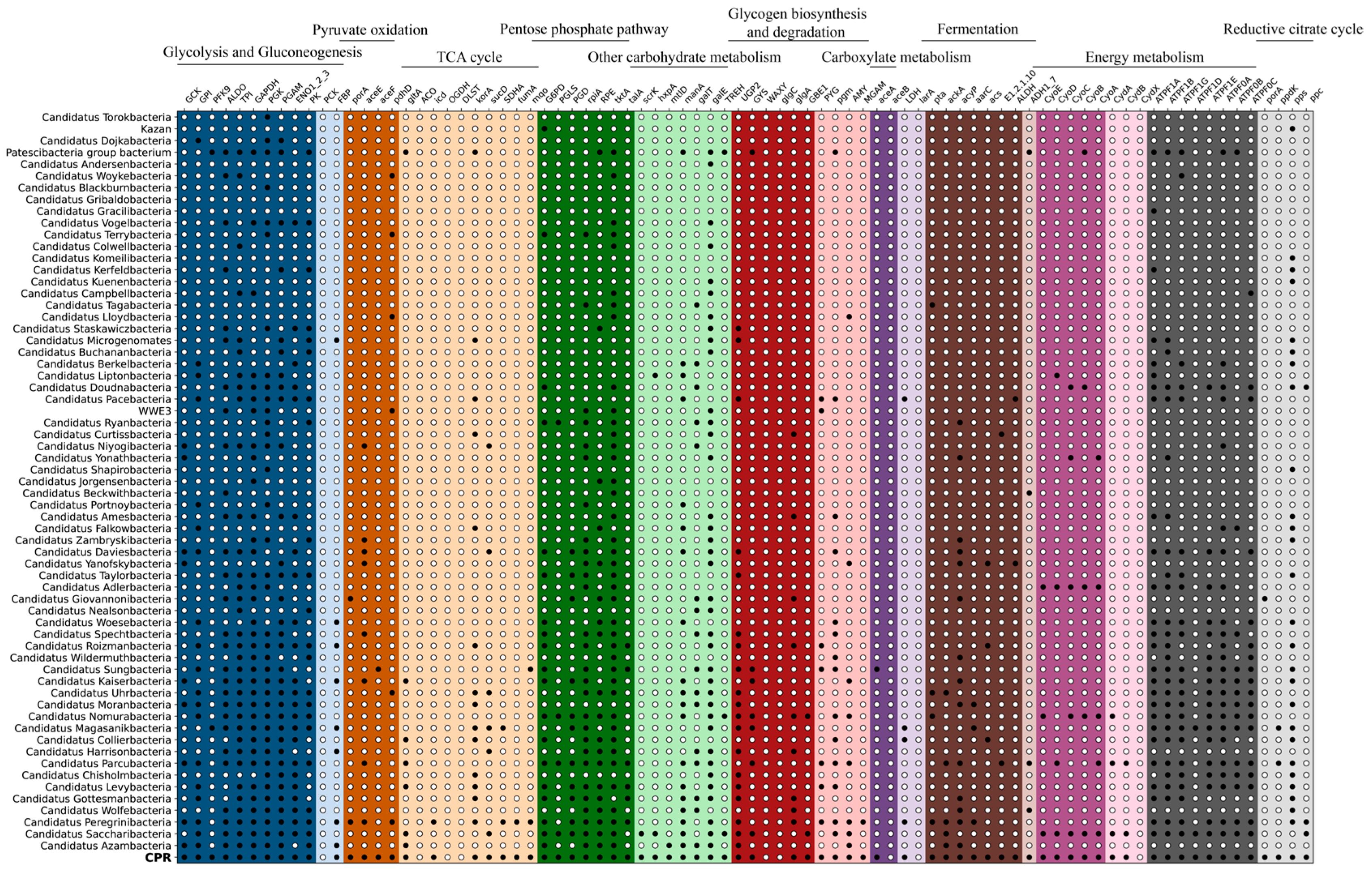 Microorganisms 13 00972 g005
