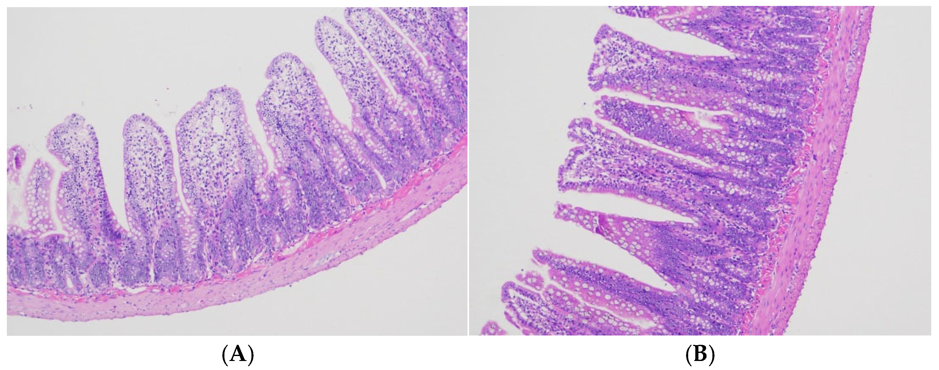 Microorganisms 13 00975 g001