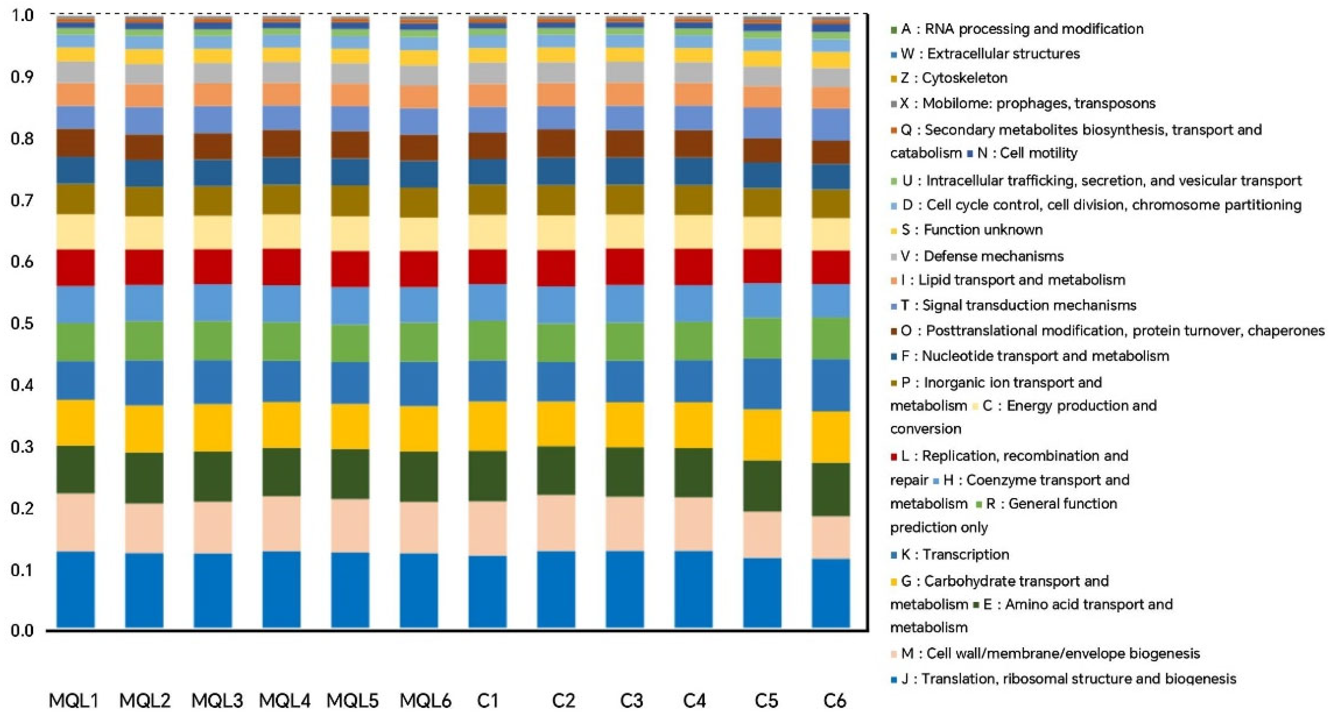 Microorganisms 13 00975 g010