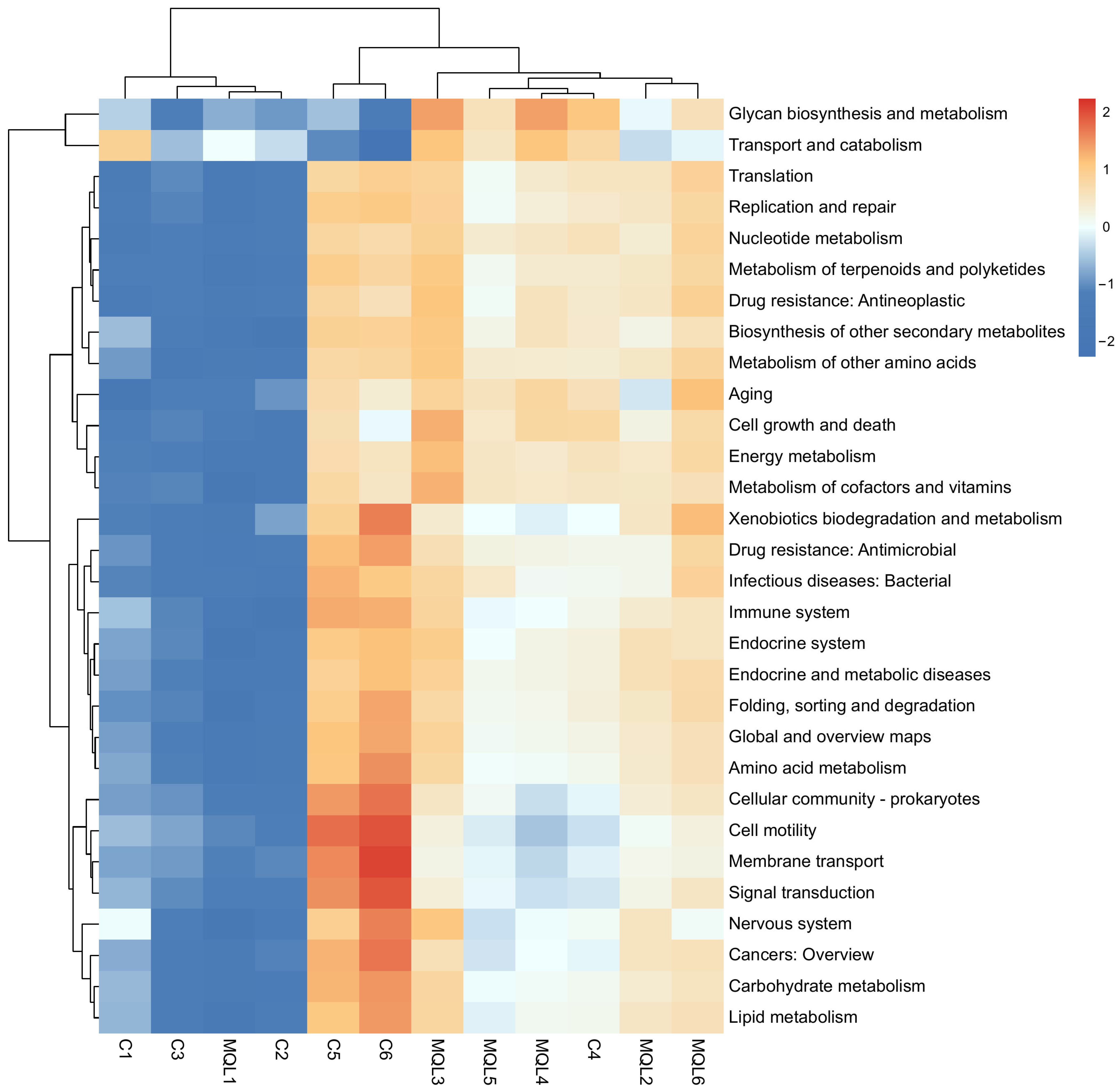 Microorganisms 13 00975 g011