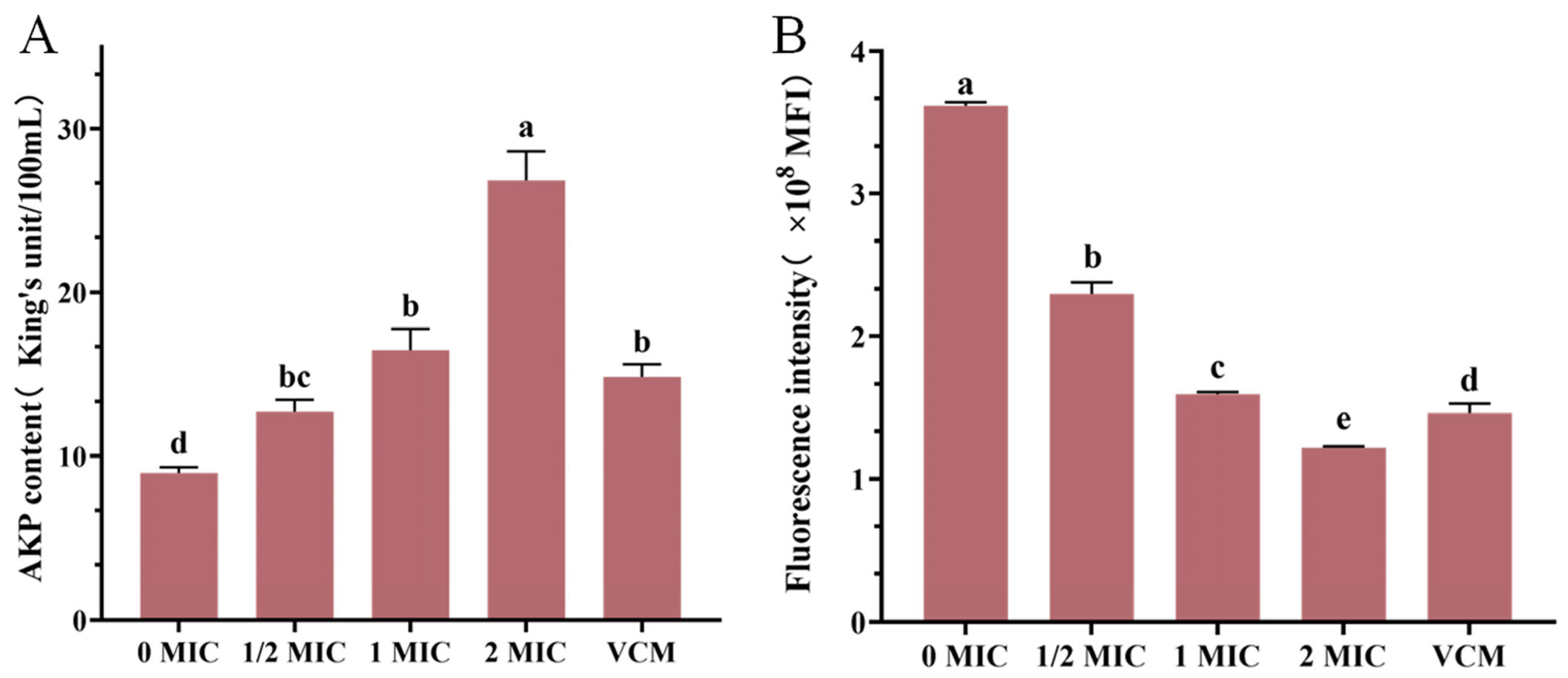 Microorganisms 13 00982 g006