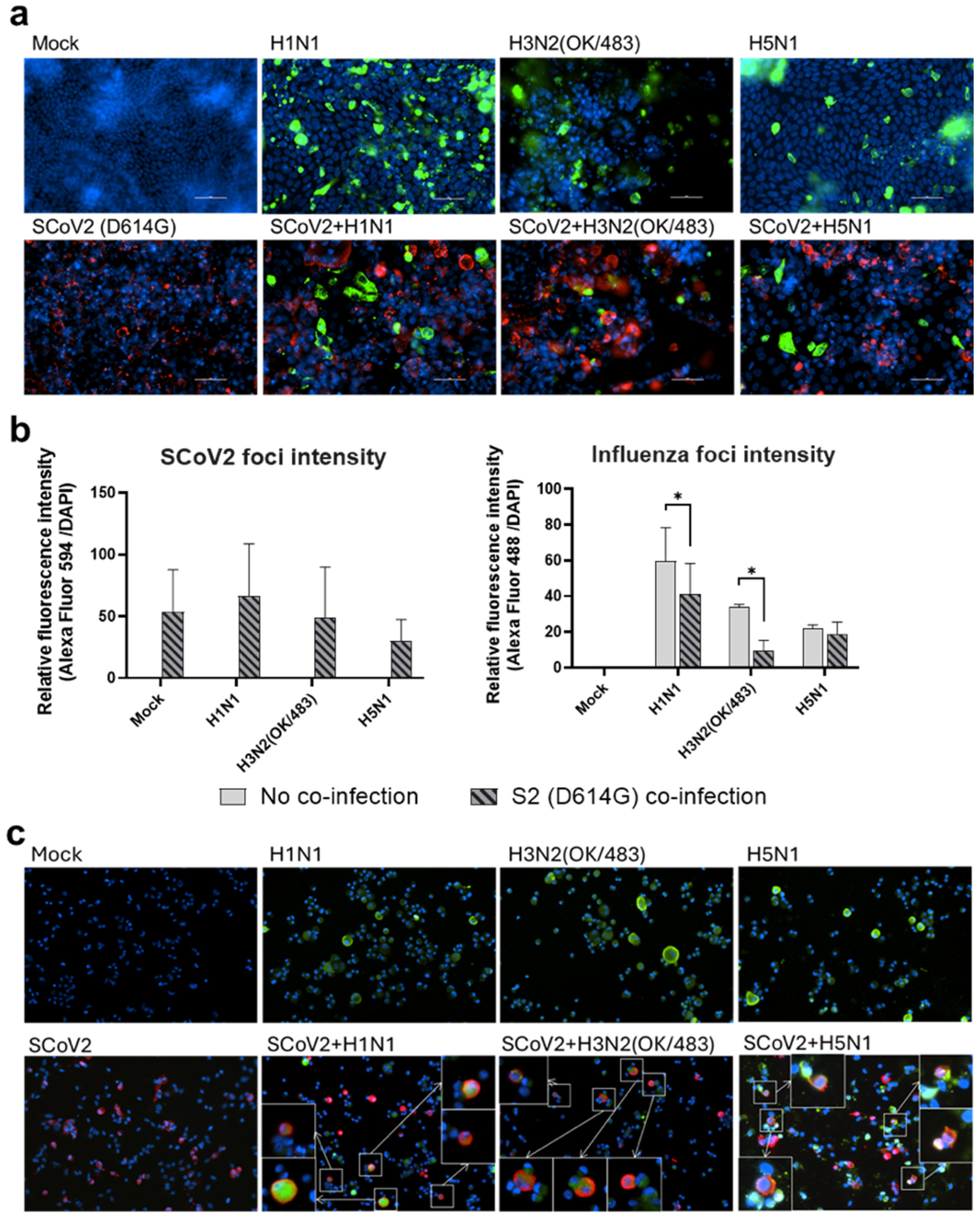 Microorganisms 13 00988 g004