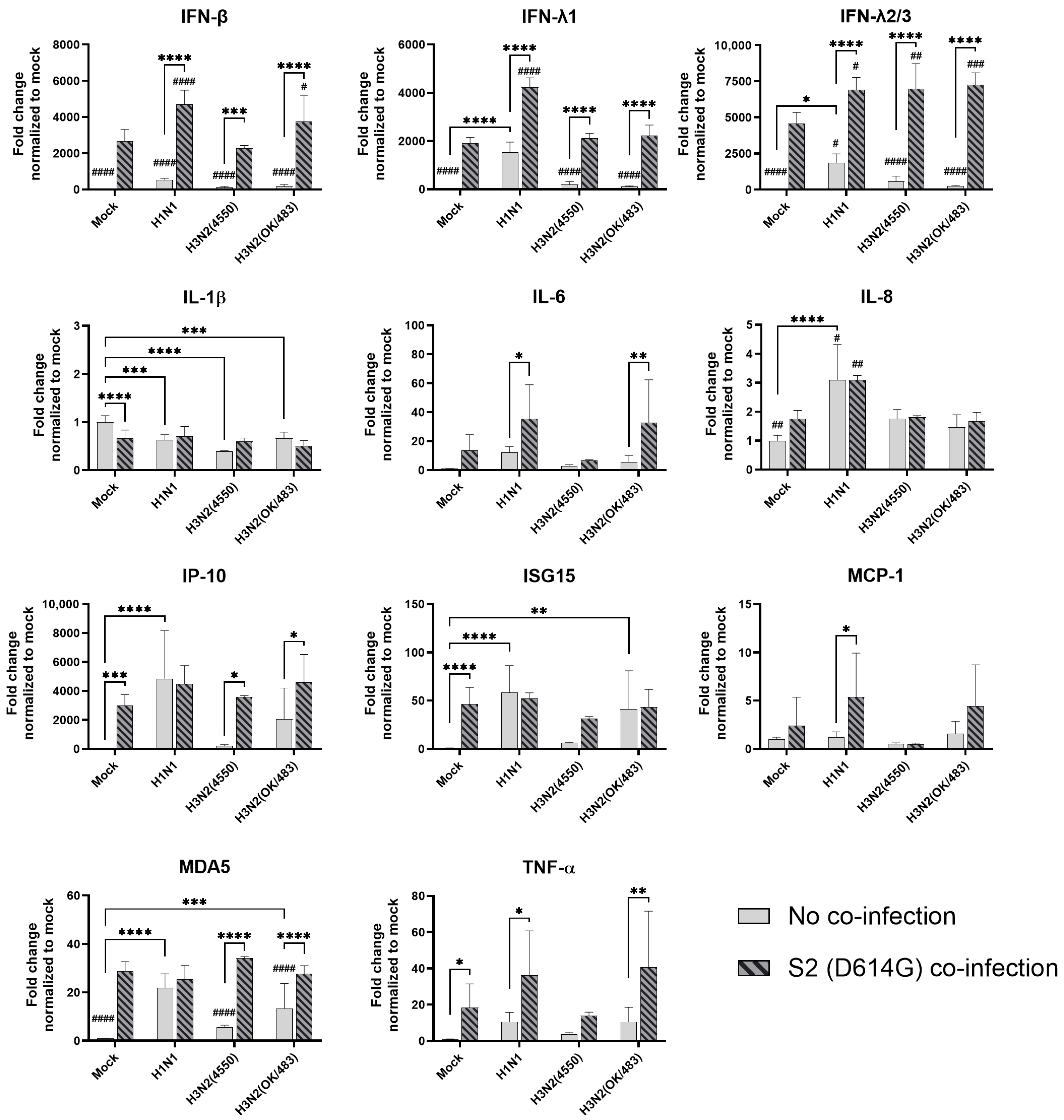 Microorganisms 13 00988 g005