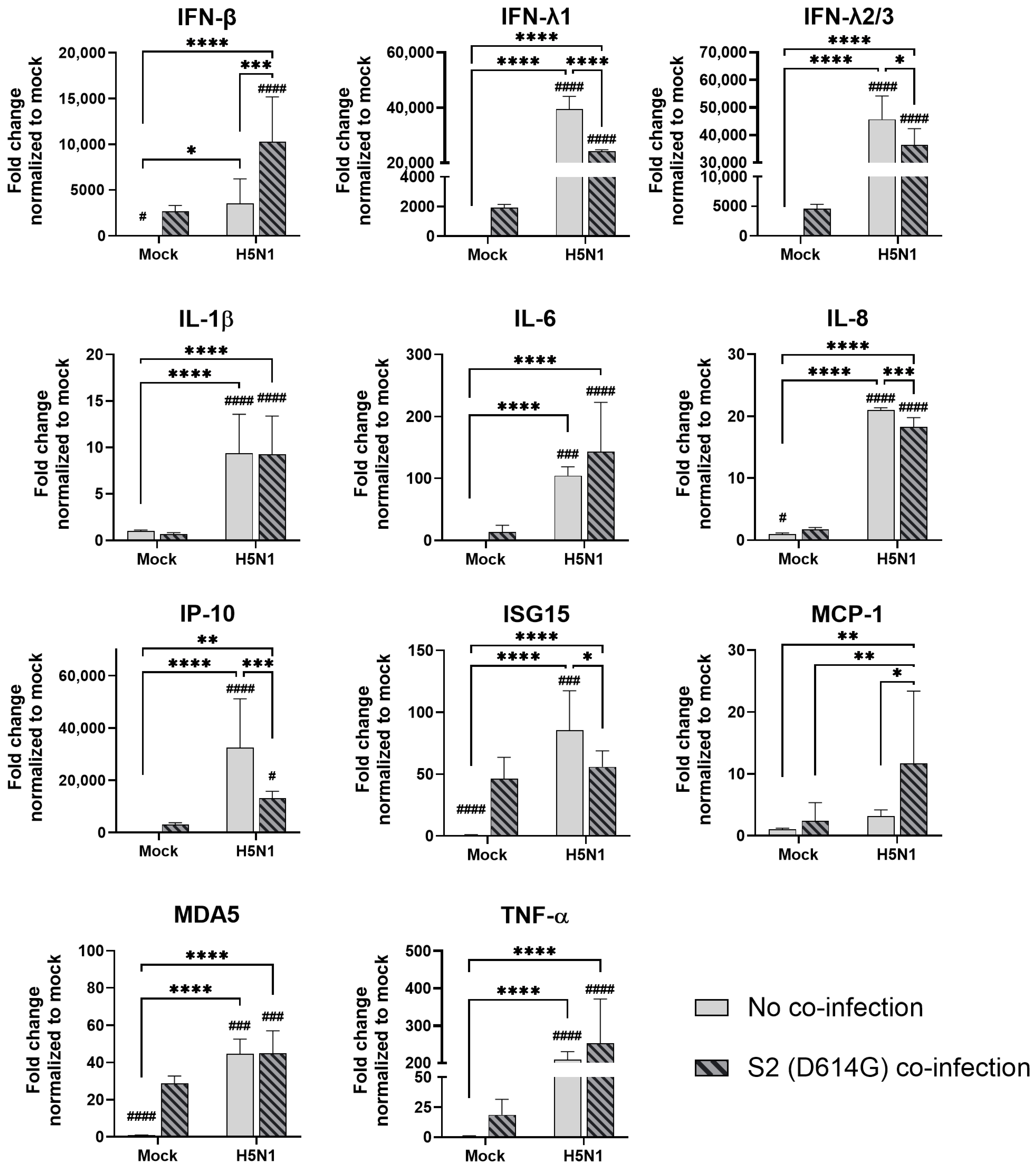Microorganisms 13 00988 g006