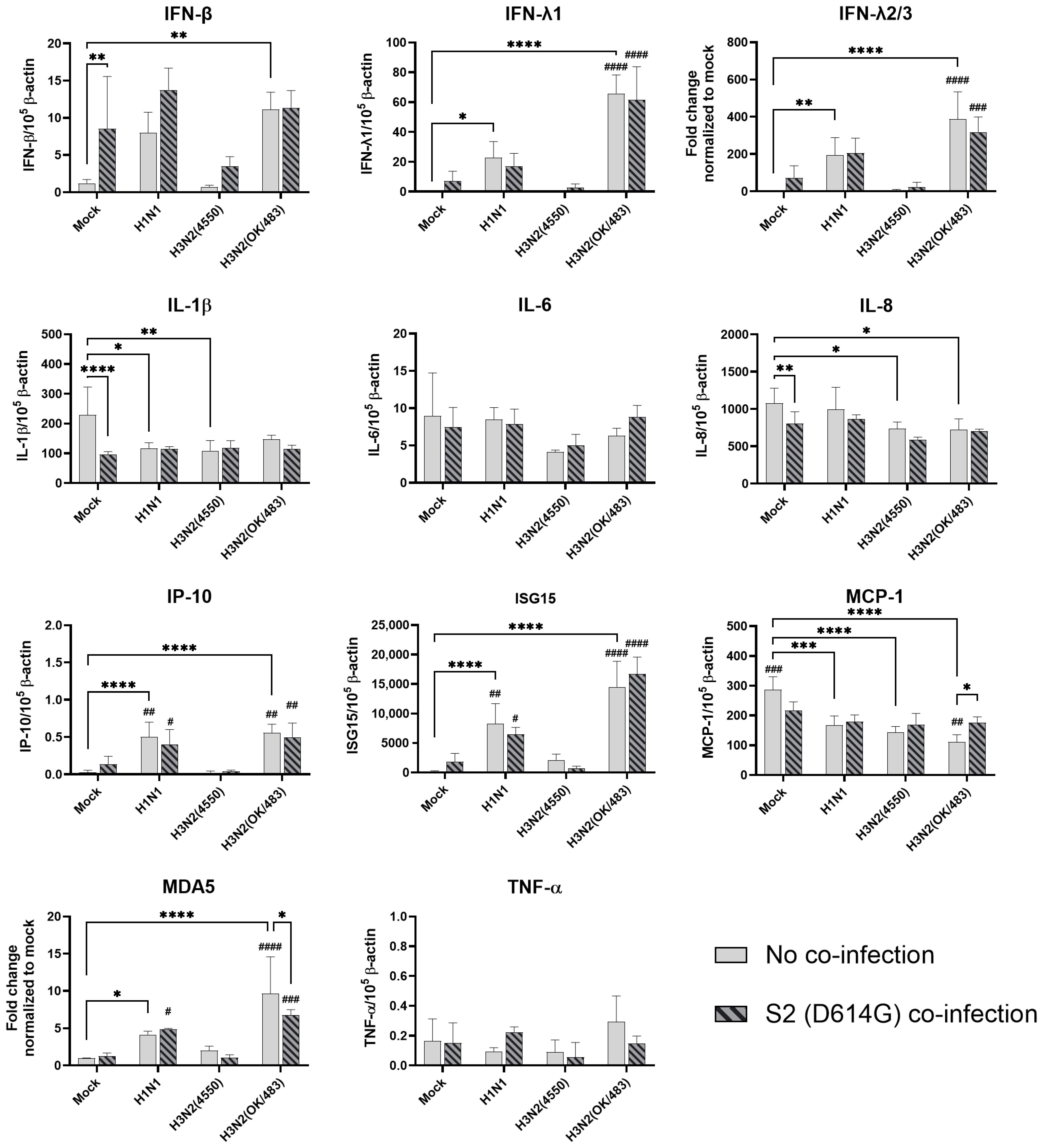 Microorganisms 13 00988 g007