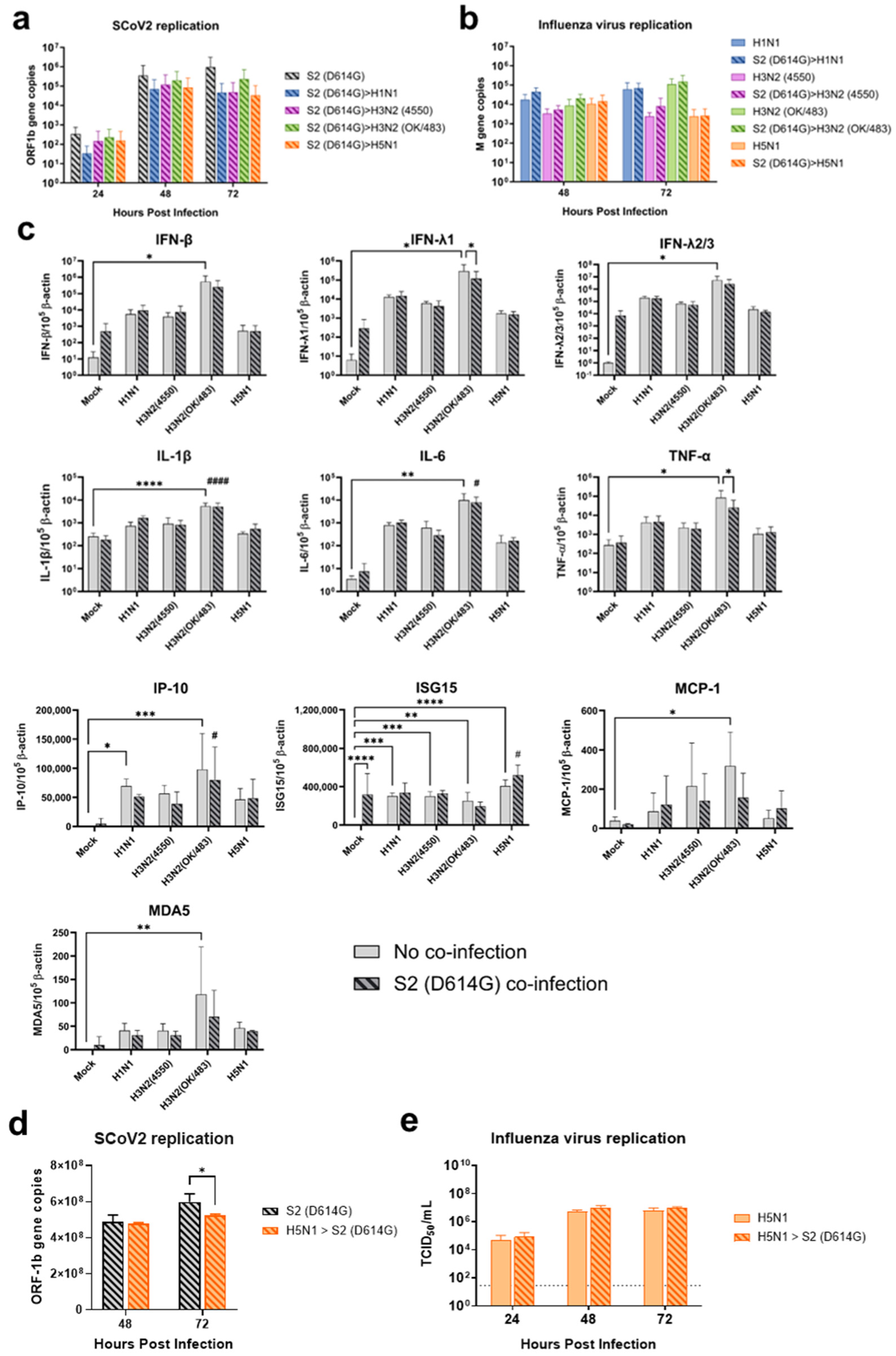 Microorganisms 13 00988 g009